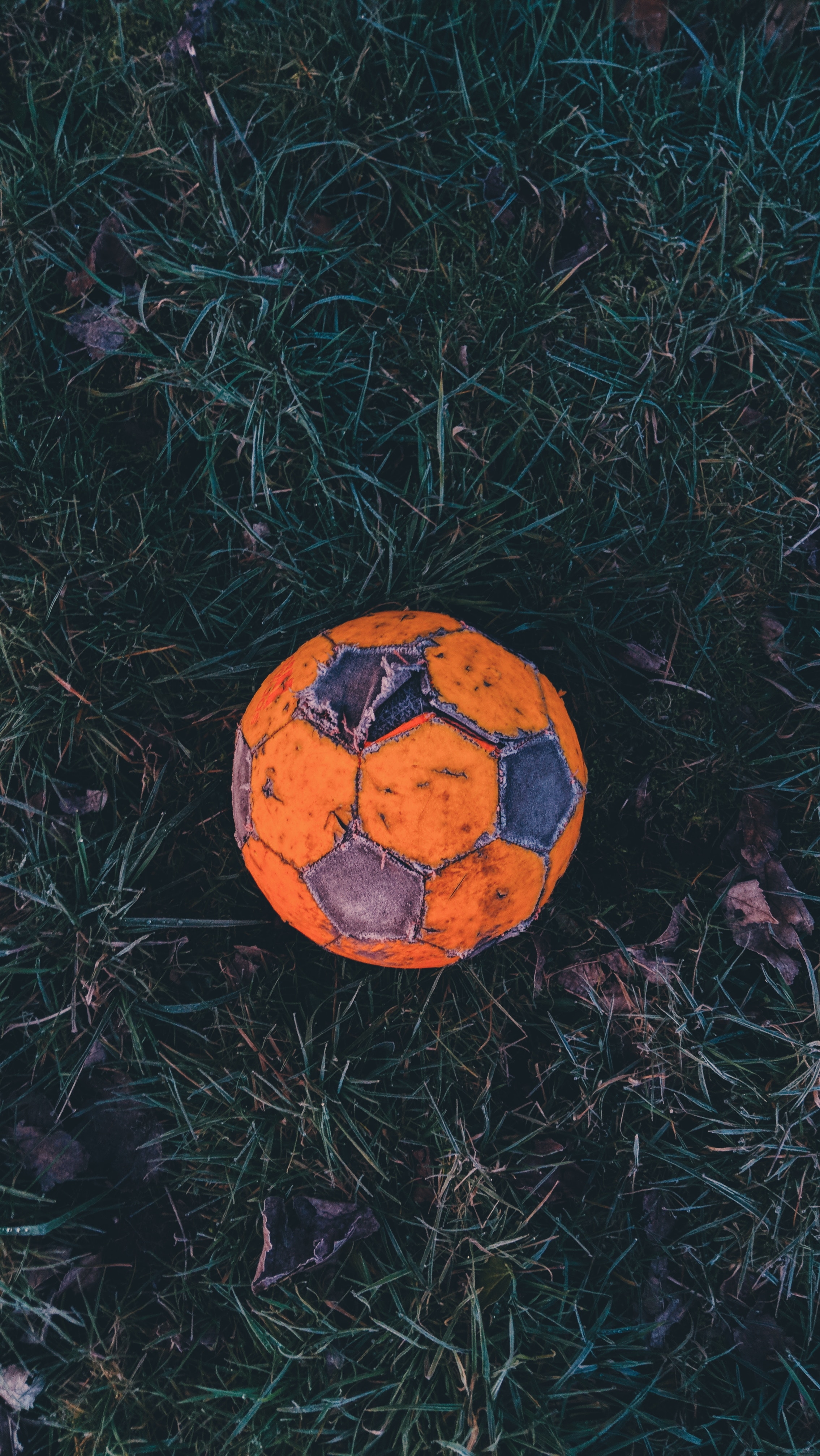 football, old, soccer ball, sports, grass, frost, hoarfrost