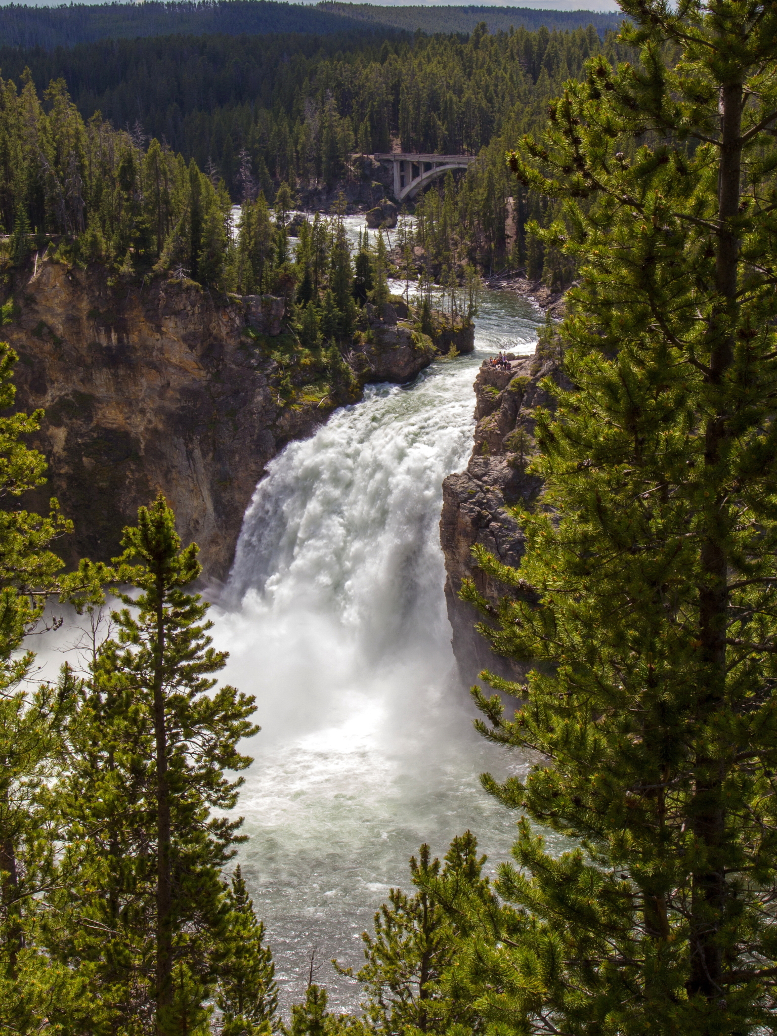 Free download wallpaper Waterfalls, Waterfall, Forest, Earth, Greenery on your PC desktop