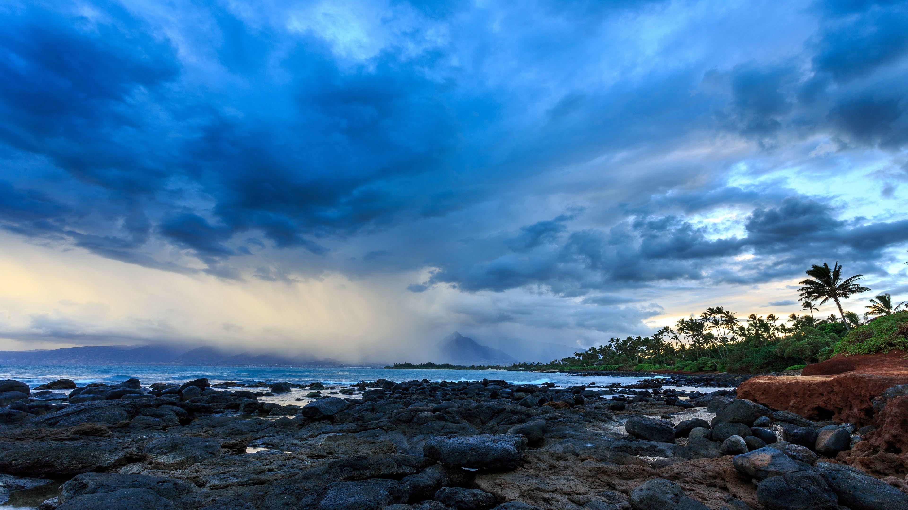 Baixe gratuitamente a imagem Céu, Oceano, Palmeira, Tropical, Nuvem, Terra/natureza na área de trabalho do seu PC
