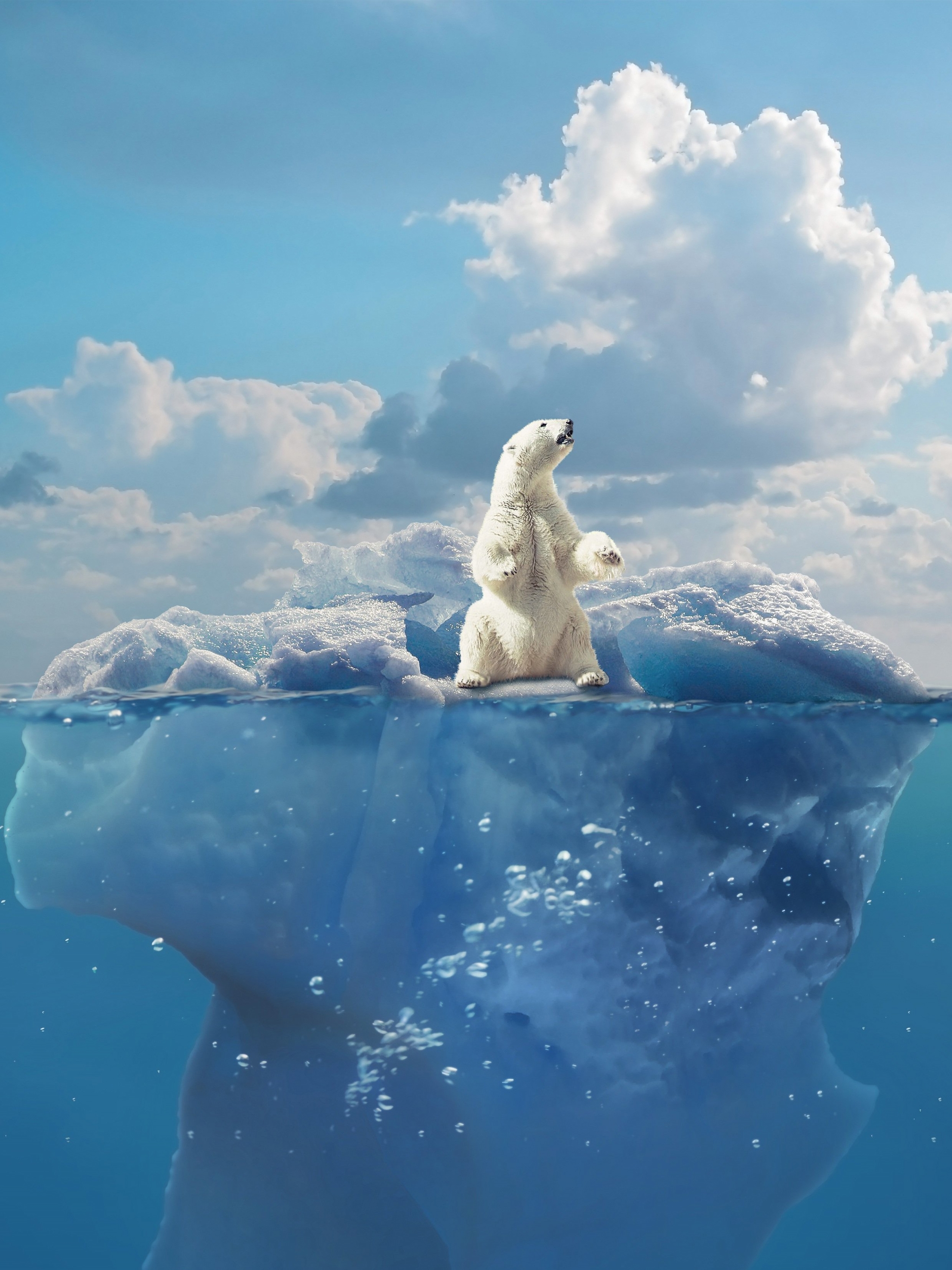 Laden Sie das Tiere, Wasser, Eis, Bären, Bär, Wolke, Eisberg, Eisbär, Tragen-Bild kostenlos auf Ihren PC-Desktop herunter