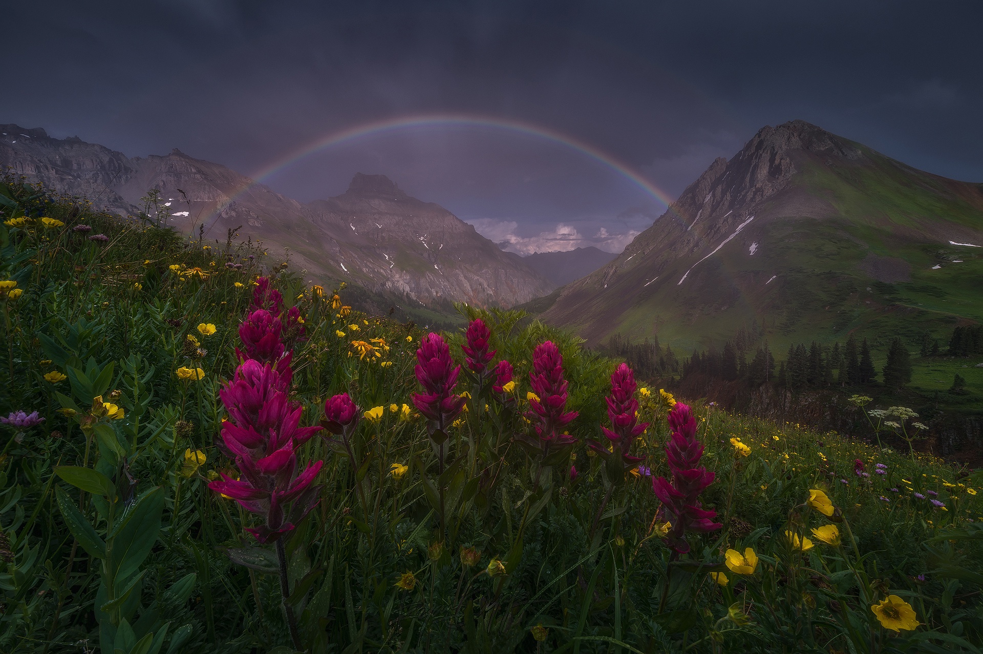 Free download wallpaper Landscape, Nature, Rainbow, Mountain, Flower, Earth on your PC desktop