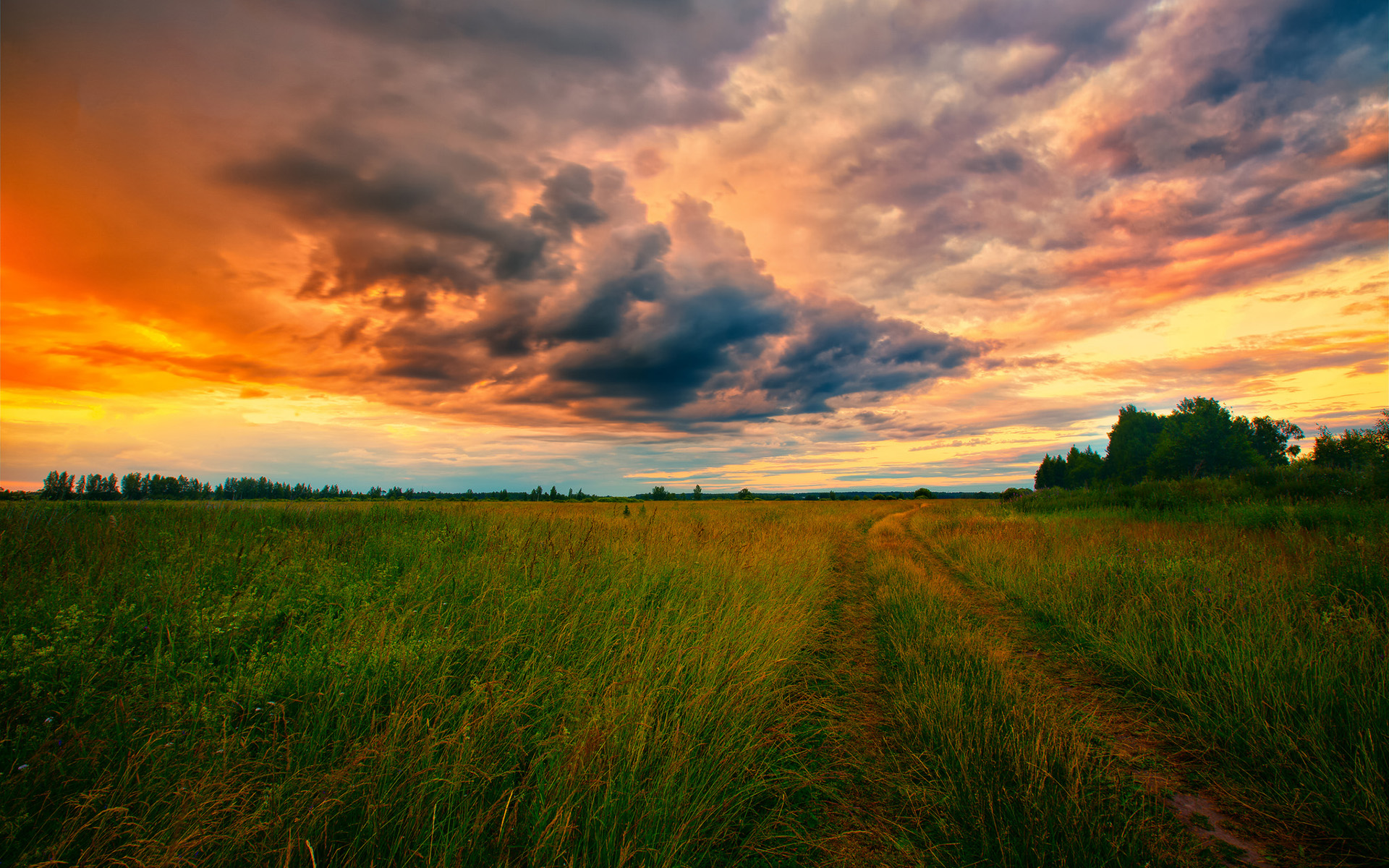 Handy-Wallpaper Landschaft, Erde/natur kostenlos herunterladen.