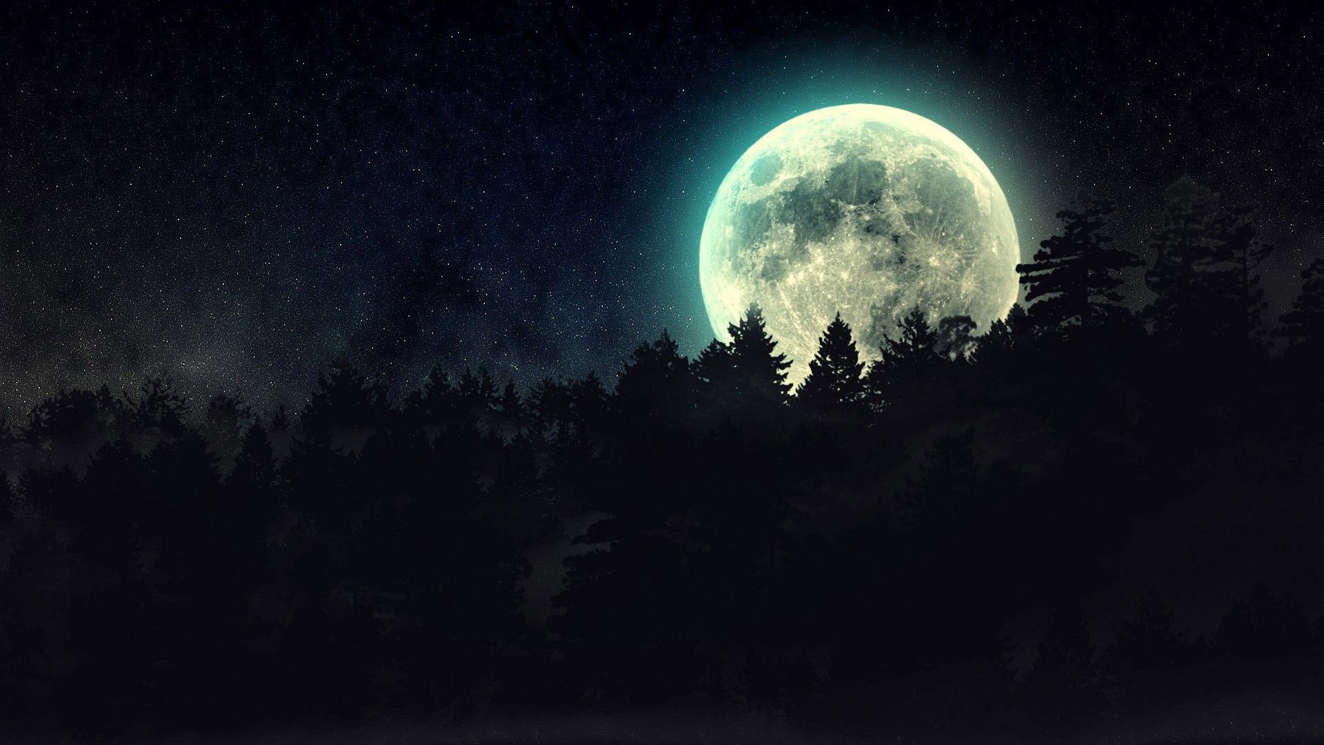 Baixe gratuitamente a imagem Noite, Lua, Silhueta, Floresta, Escuridão, Terra/natureza na área de trabalho do seu PC