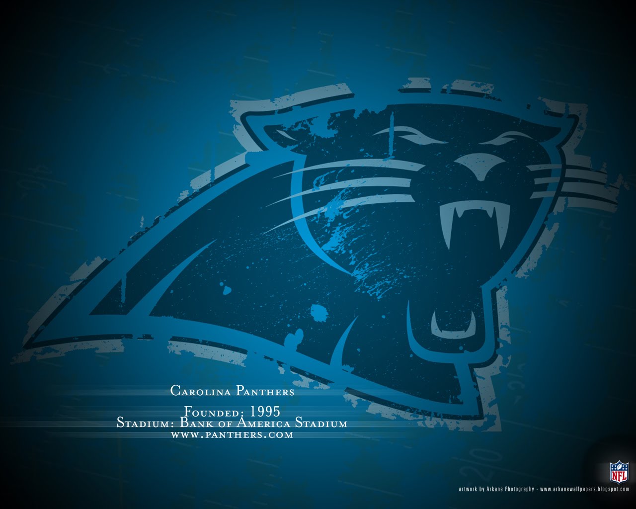 Télécharger des fonds d'écran Panthers De La Caroline HD