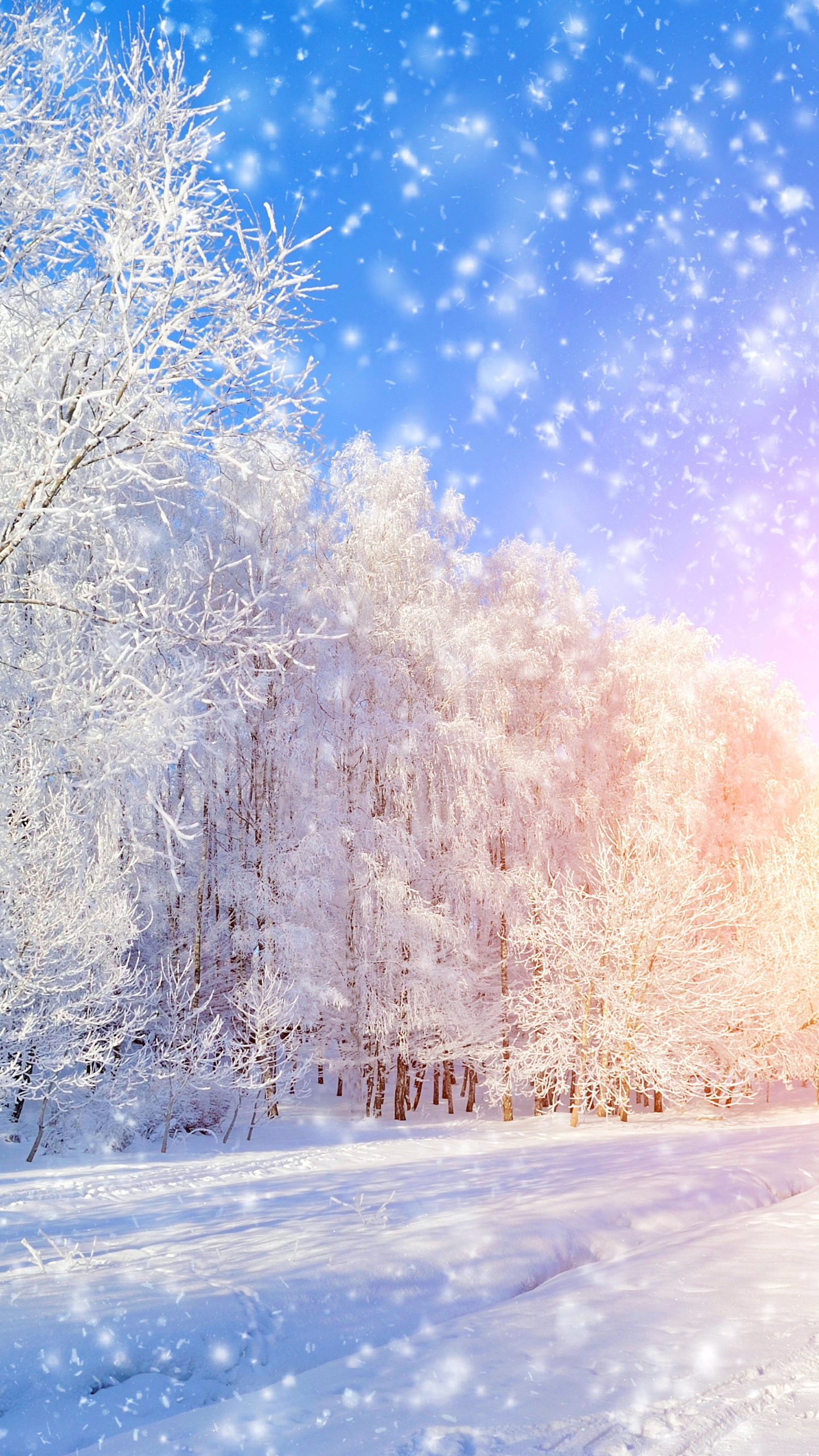 Download mobile wallpaper Winter, Nature, Snow, Earth for free.