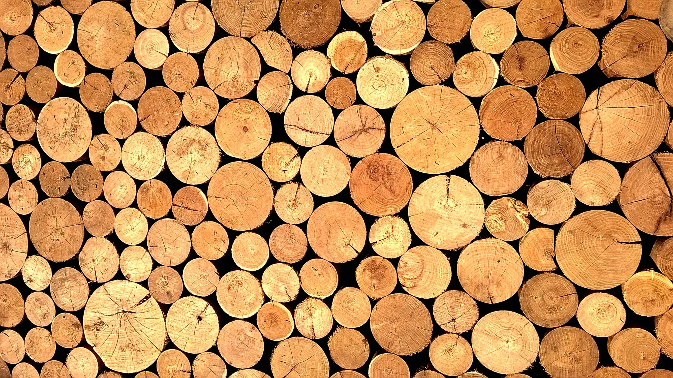 Free download wallpaper Wood, Earth on your PC desktop