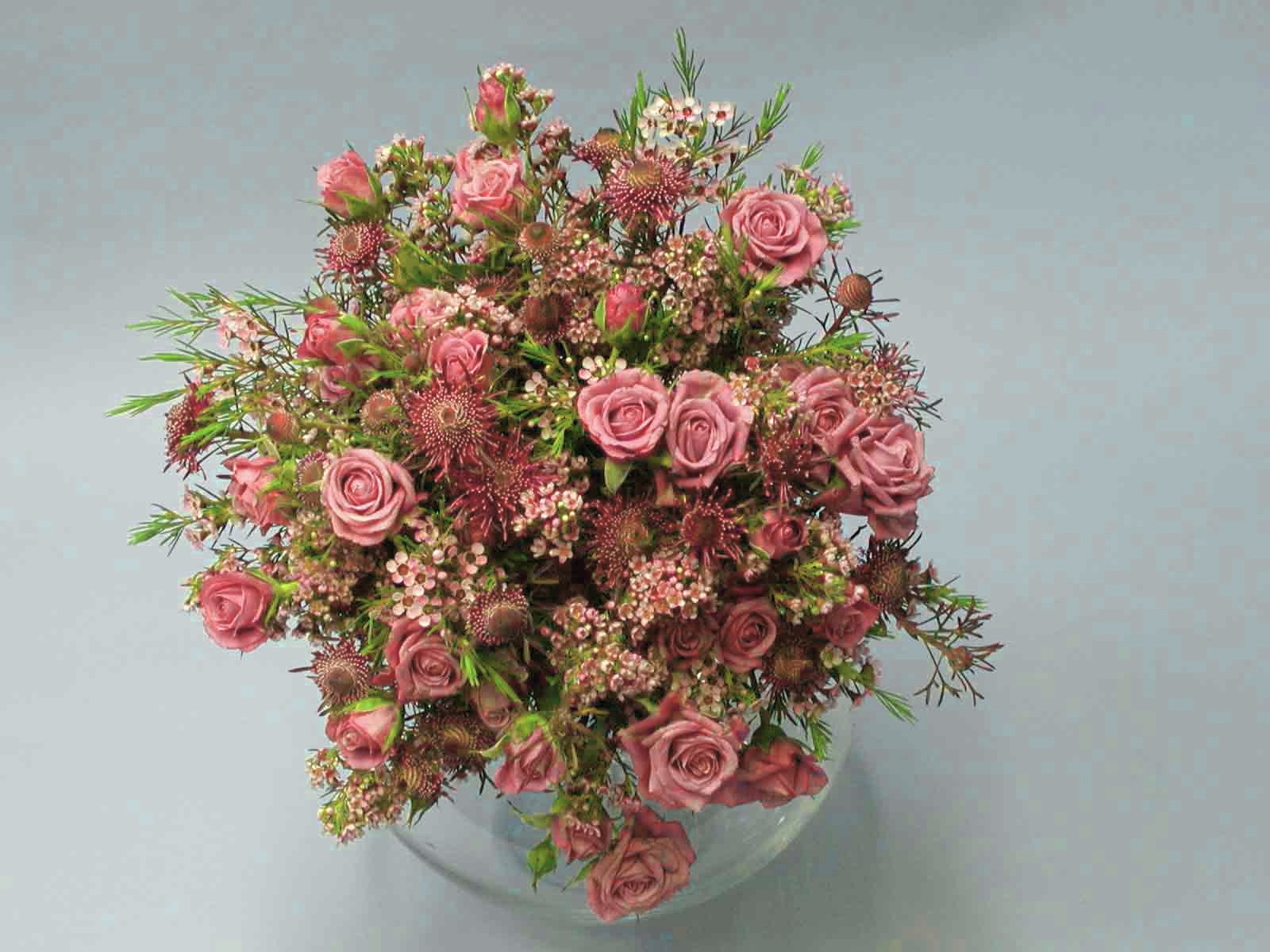 Free download wallpaper Flower, Rose, Vase, Daisy, Man Made on your PC desktop