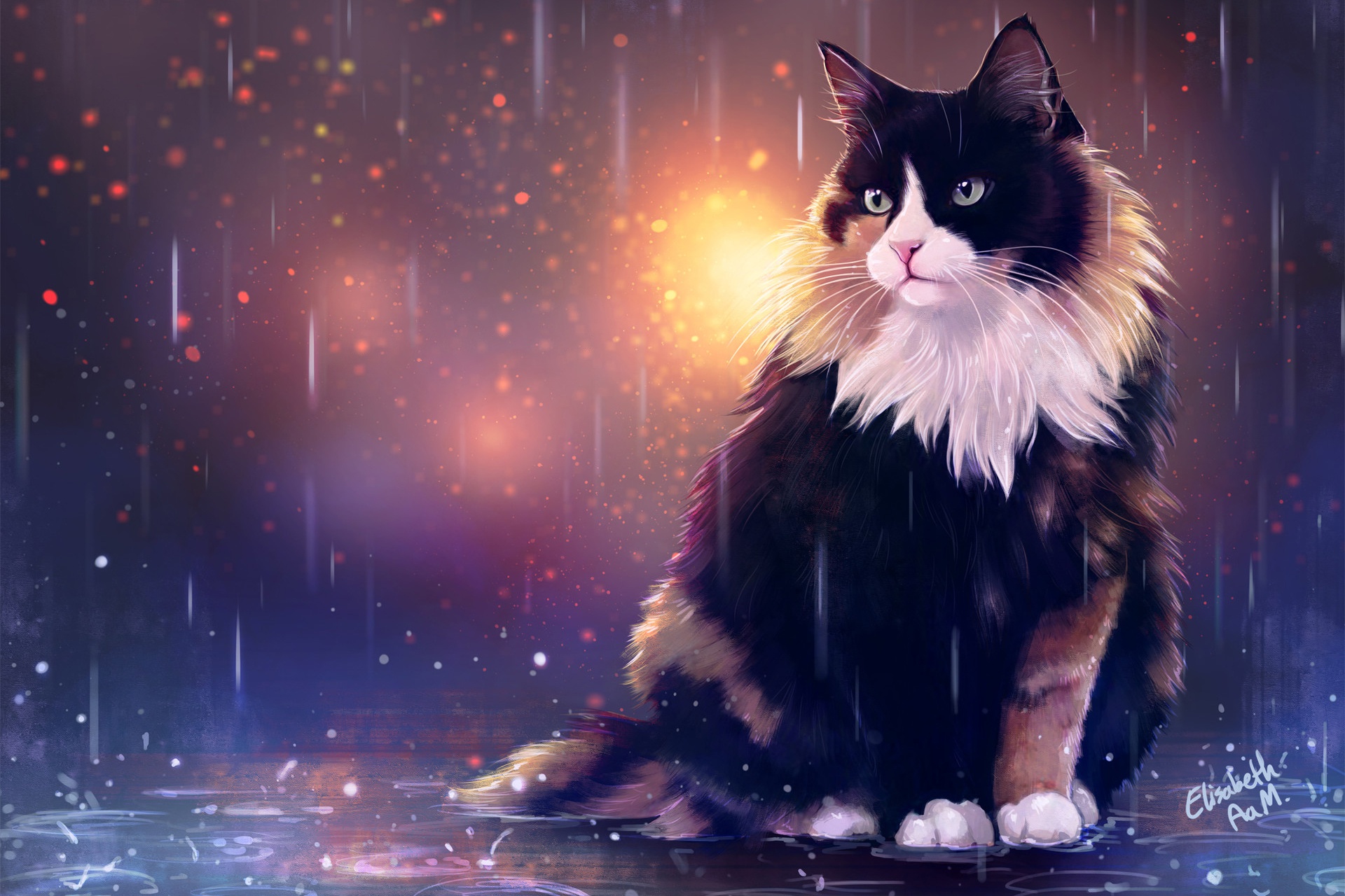 Download mobile wallpaper Cats, Rain, Cat, Animal for free.