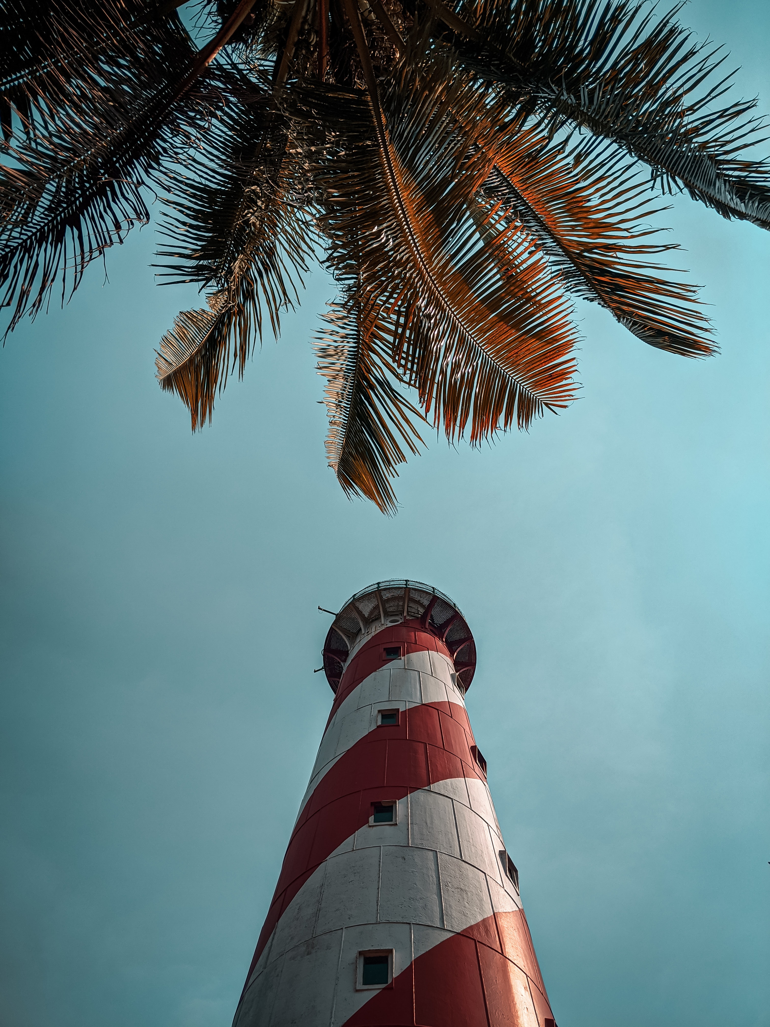 Free download wallpaper Lighthouse, Bottom View, Nature, Palms on your PC desktop