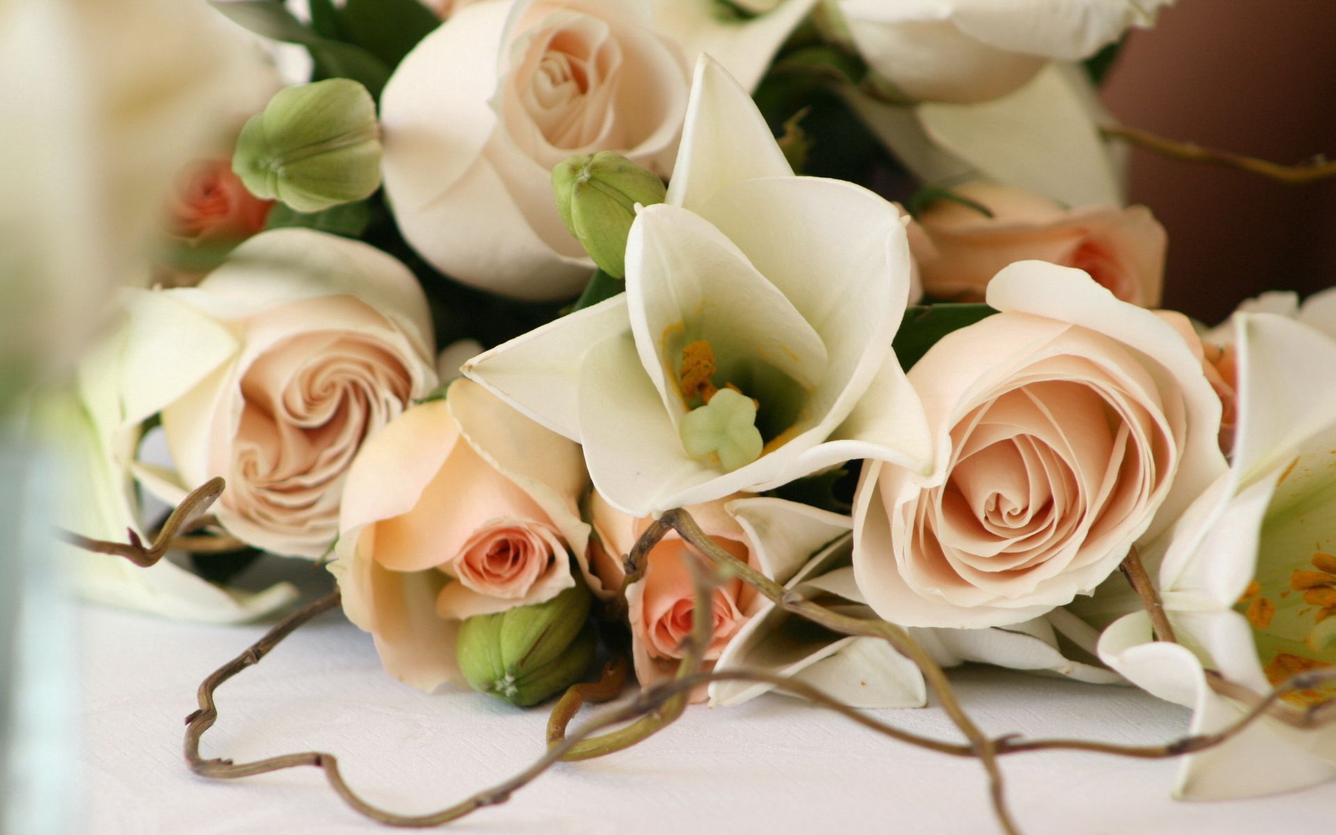Laden Sie das Strauß, Zärtlichkeit, Ast, Zweig, Bouquet, Romantik, Blumen, Roses-Bild kostenlos auf Ihren PC-Desktop herunter