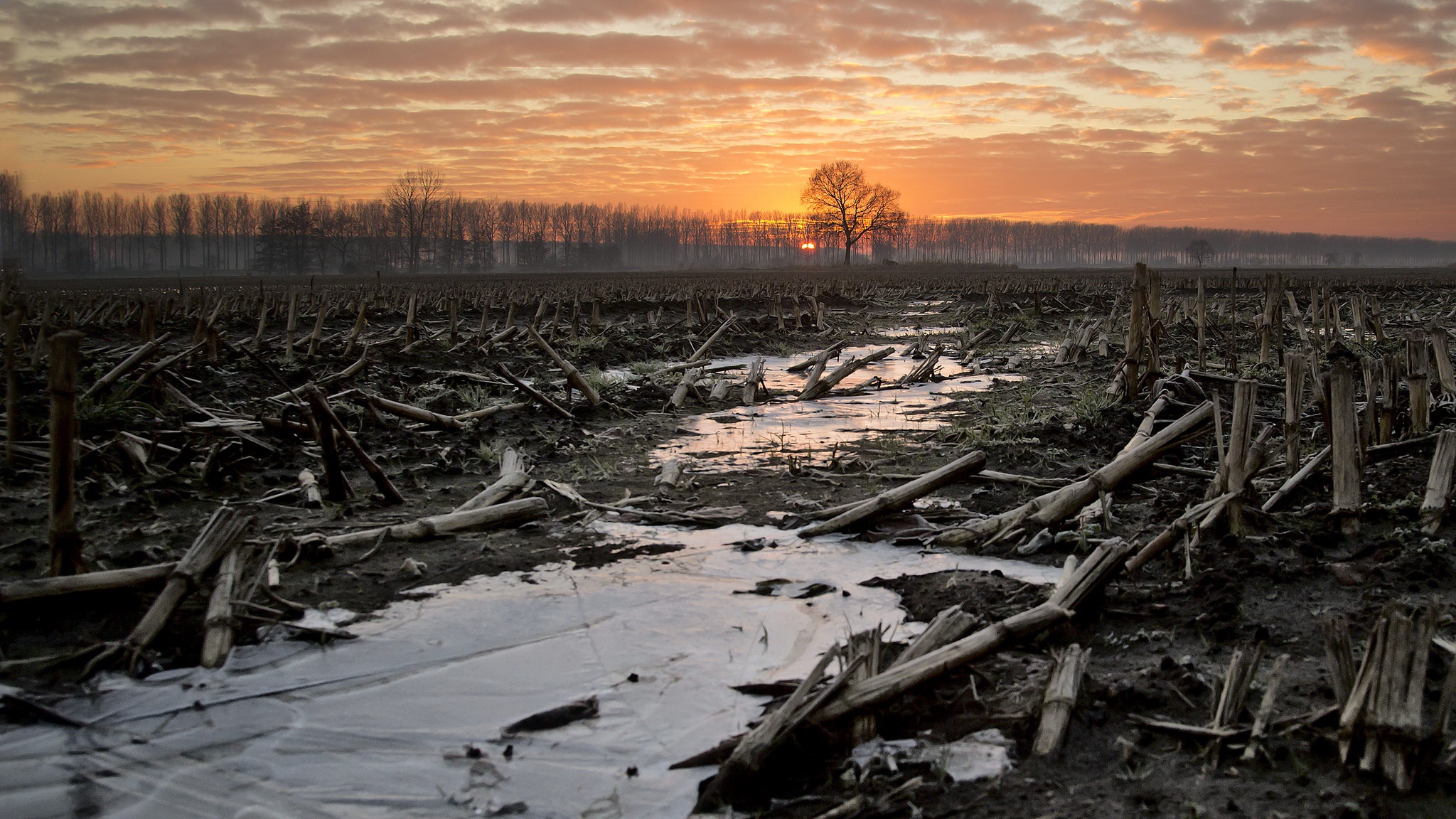 Free download wallpaper Nature, Sunset, Ice, Earth, Field on your PC desktop