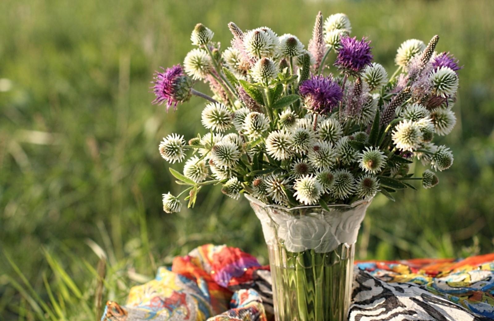 flowers, bouquet, field, vase, clover, thistle