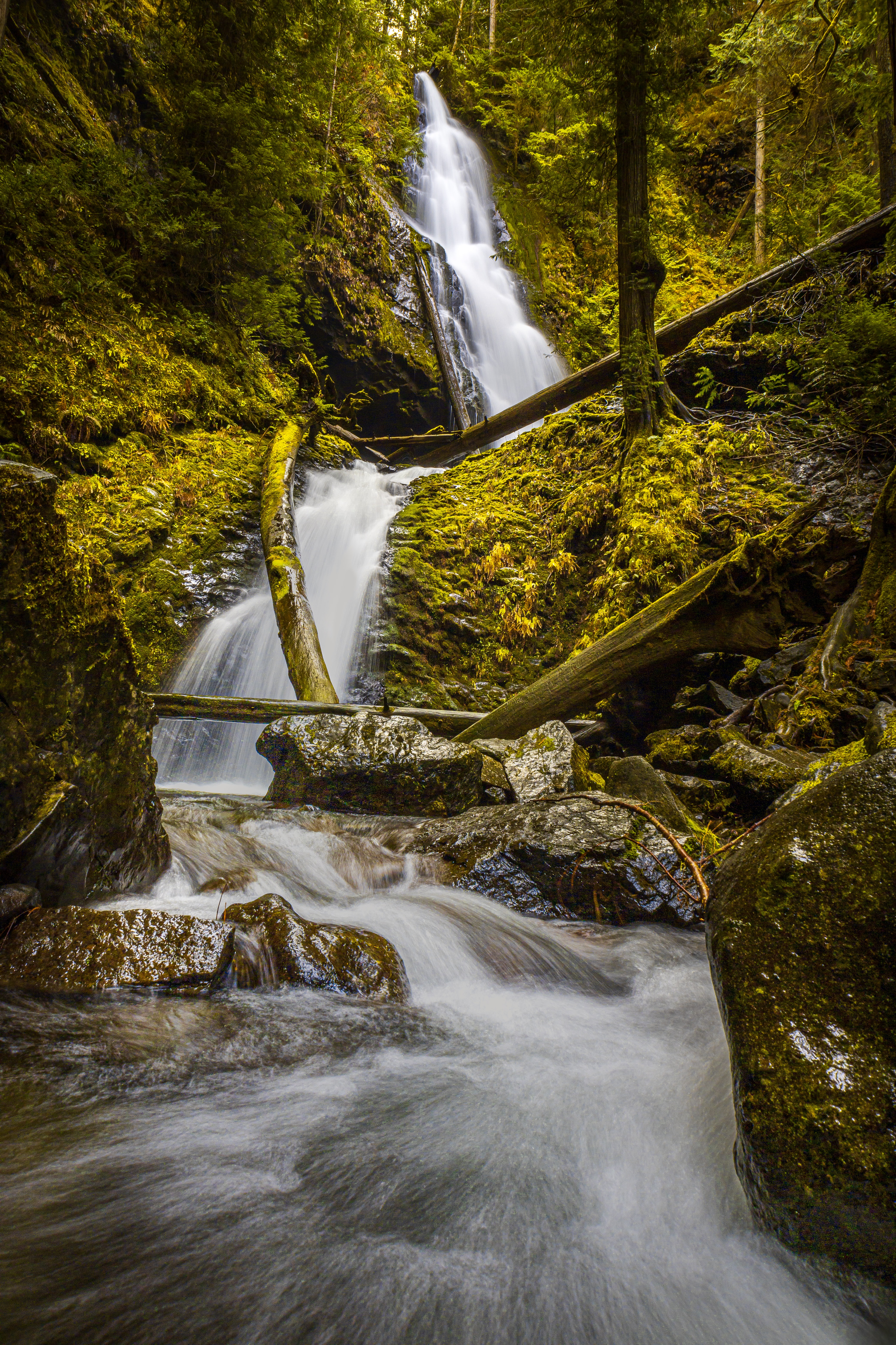PCデスクトップに自然, 水, 川, 木, 滝, 岩, フロー画像を無料でダウンロード
