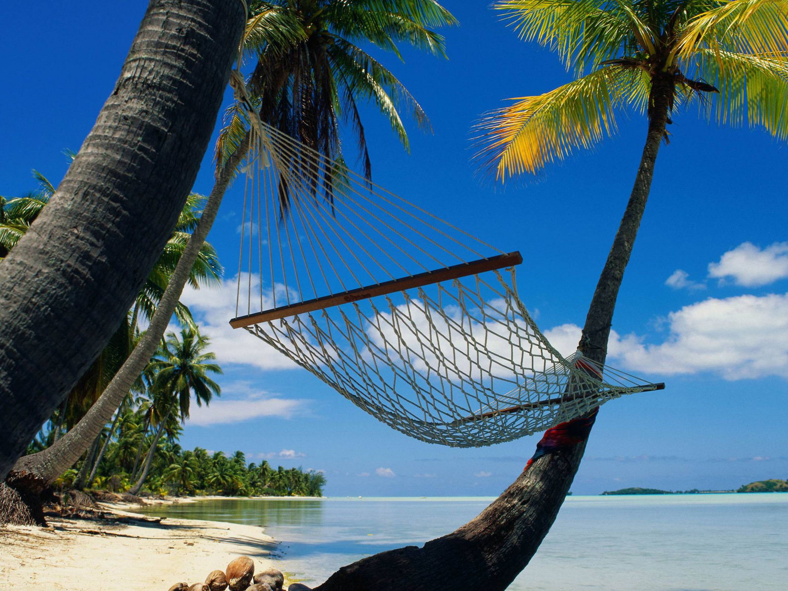 Laden Sie das Sea, Palms, Landschaft, Strand-Bild kostenlos auf Ihren PC-Desktop herunter