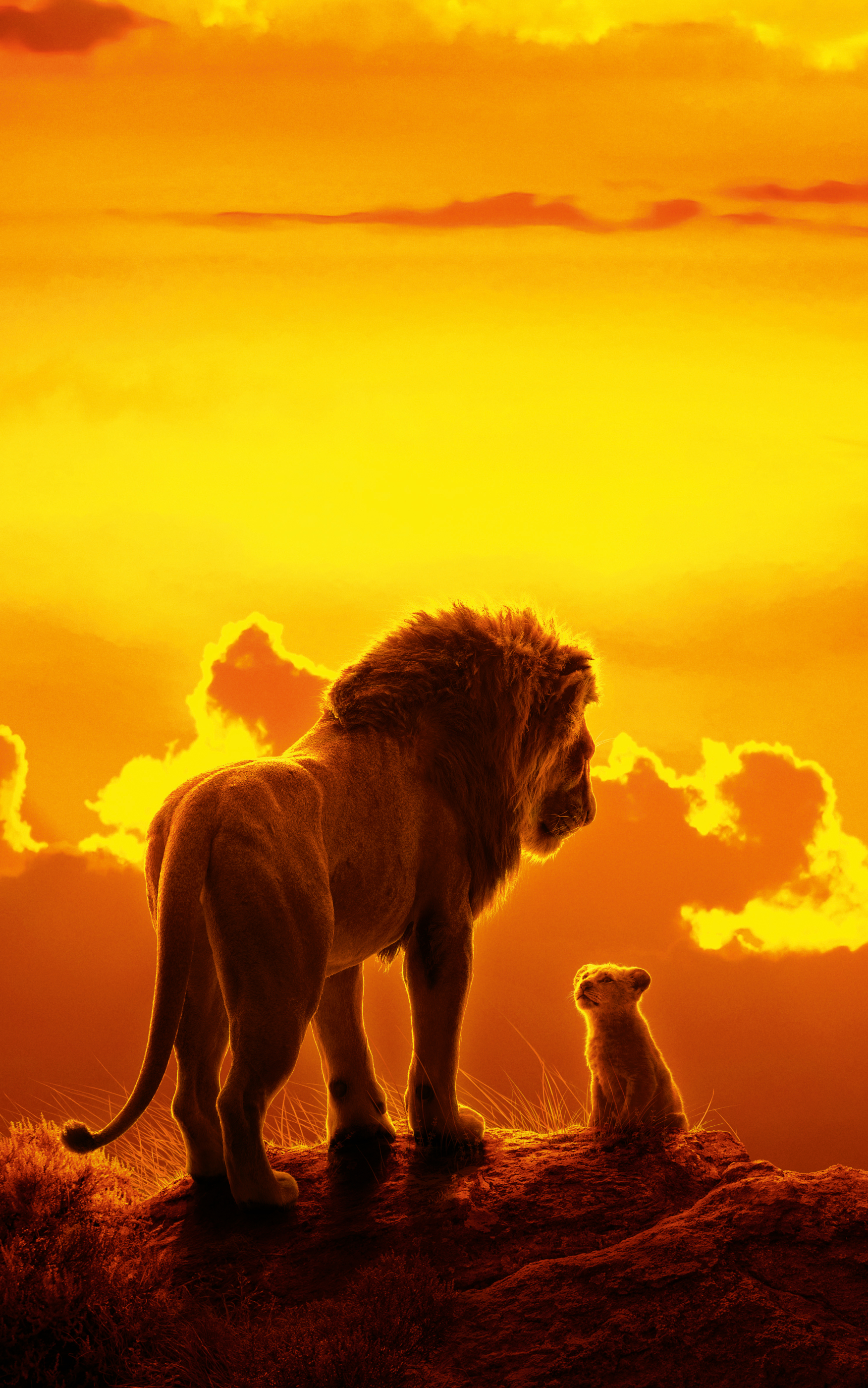 Descarga gratuita de fondo de pantalla para móvil de León, Películas, Bebe Animal, Mufasa (El Rey León), Simba, El Rey León (2019).