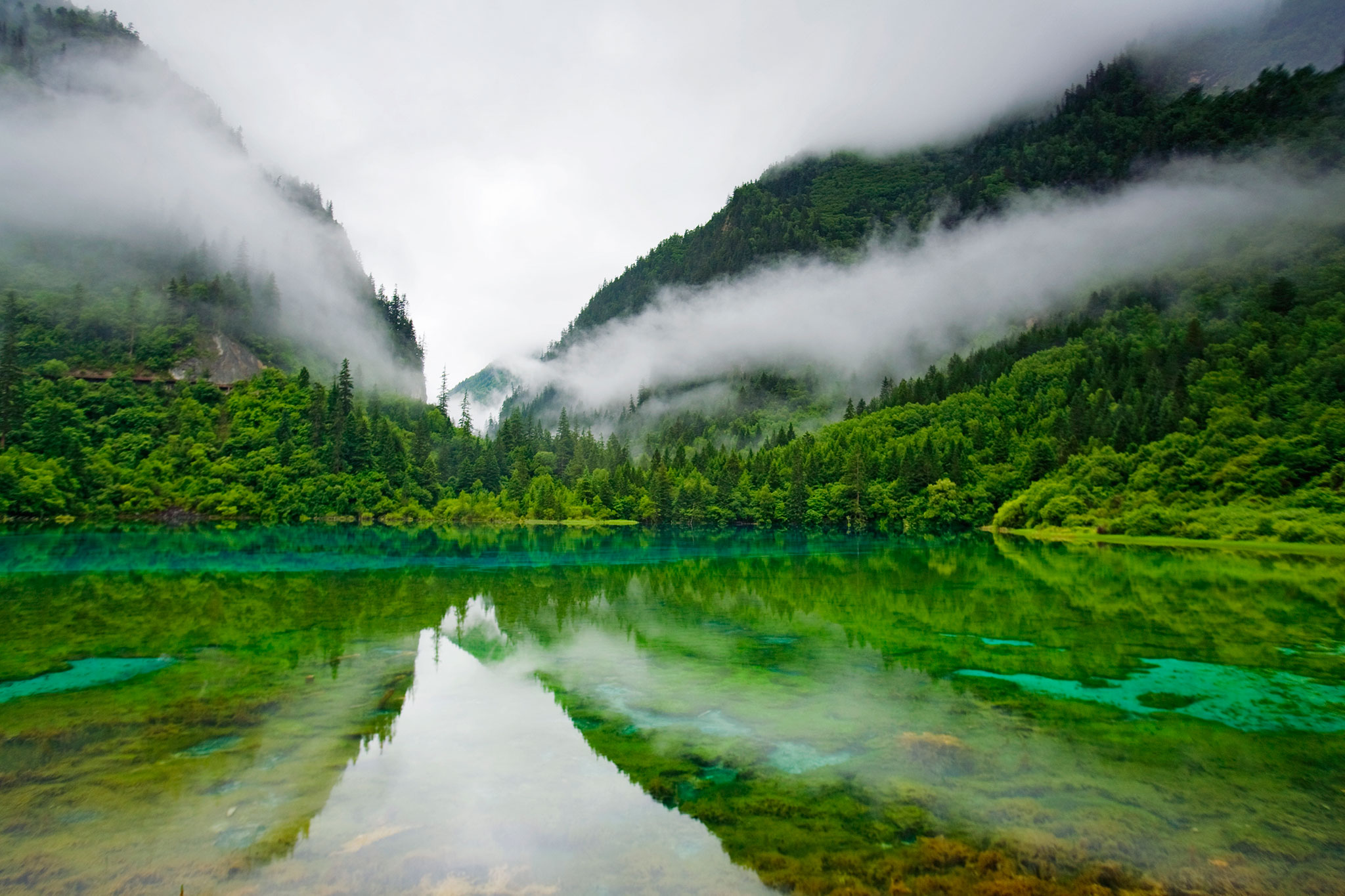Free download wallpaper Landscape, Mountain, Lake, Reflection, Forest, Fog, Earth, Lagoon, Scenic on your PC desktop