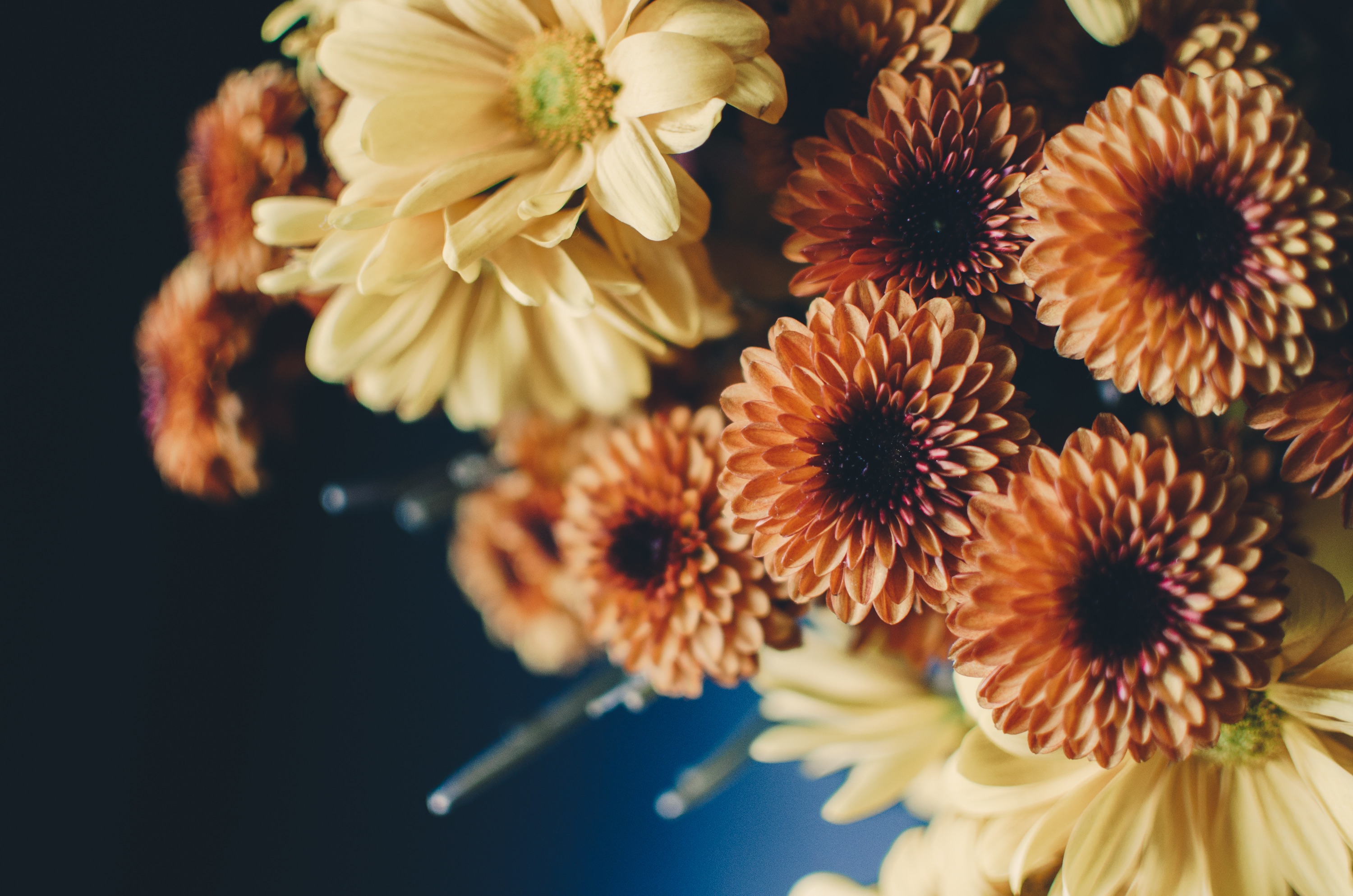 Téléchargez gratuitement l'image Bouquet, Composition, Fleurs sur le bureau de votre PC
