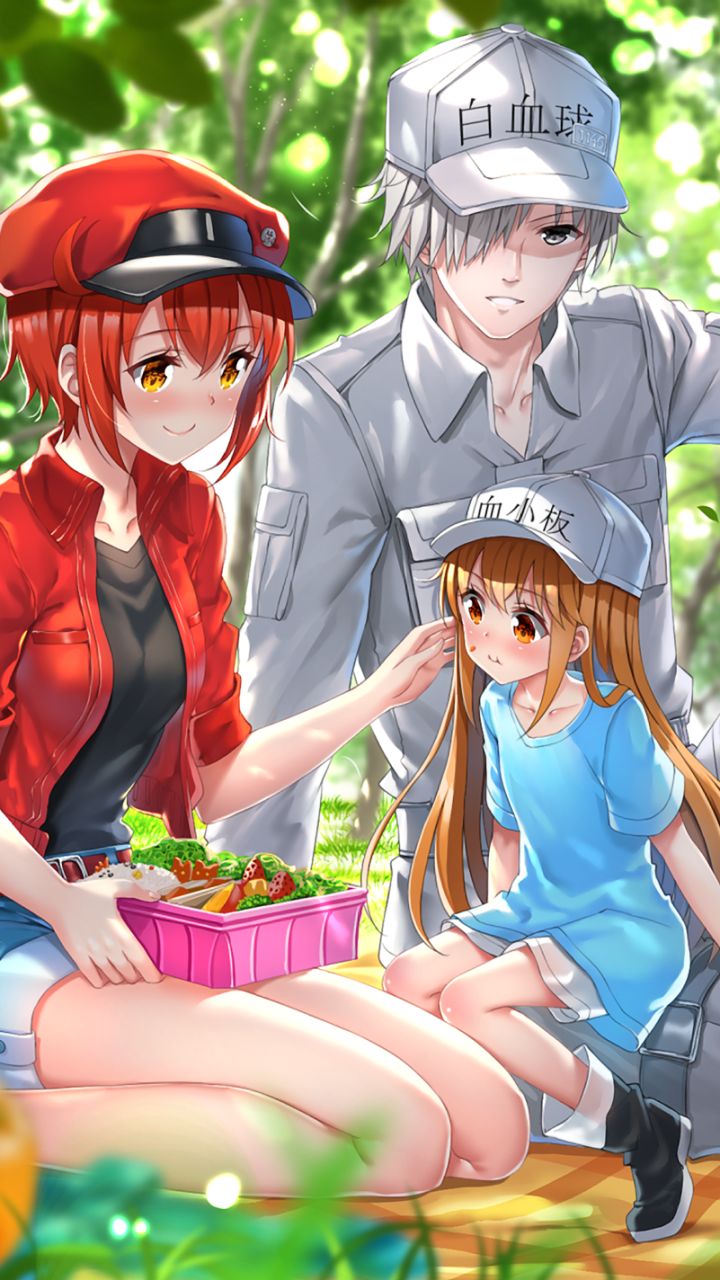 anime, cells at work!, ae3803 (cells at work), platelet (cells at work!), u 1146 (cells at work!) phone background