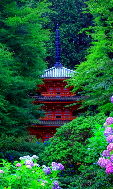 Download mobile wallpaper Pagoda, Garden, Japan, Hydrangea, Man Made for free.