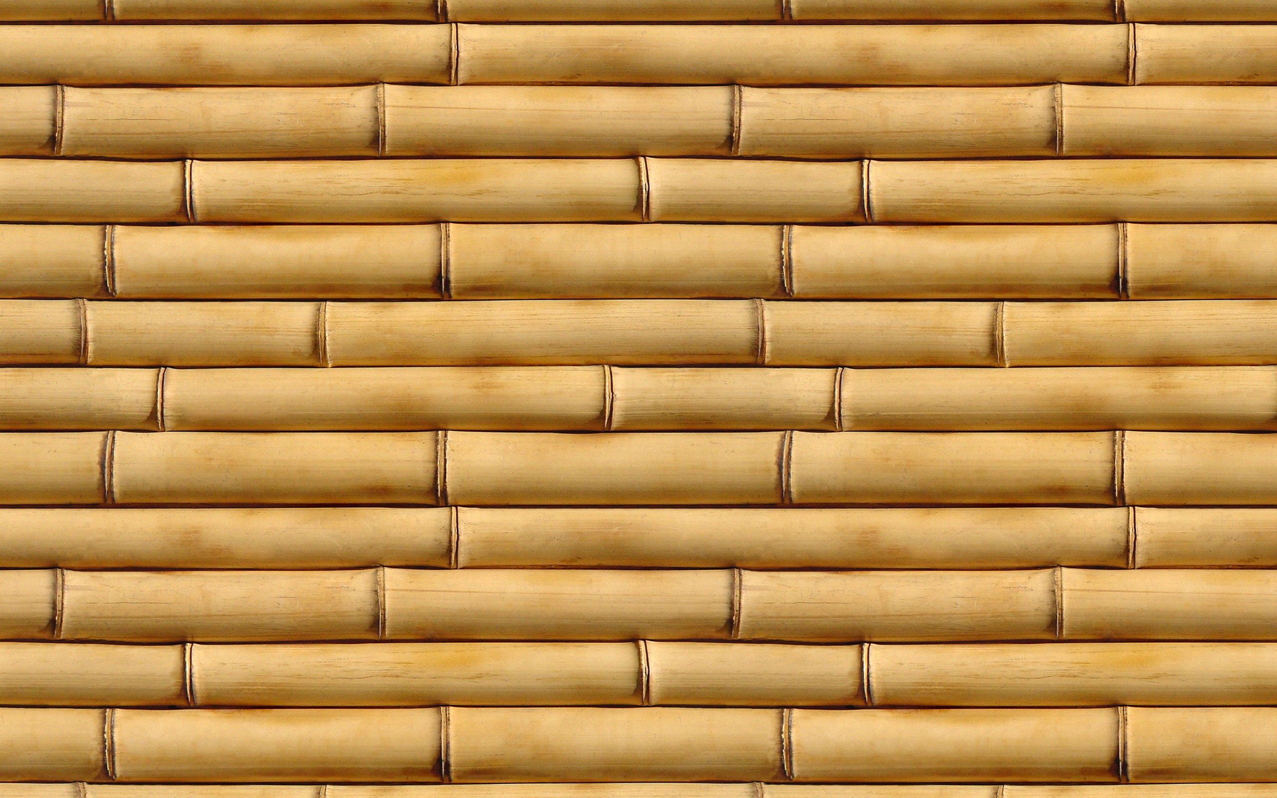 bamboo, vertical, wooden, wood, texture, textures