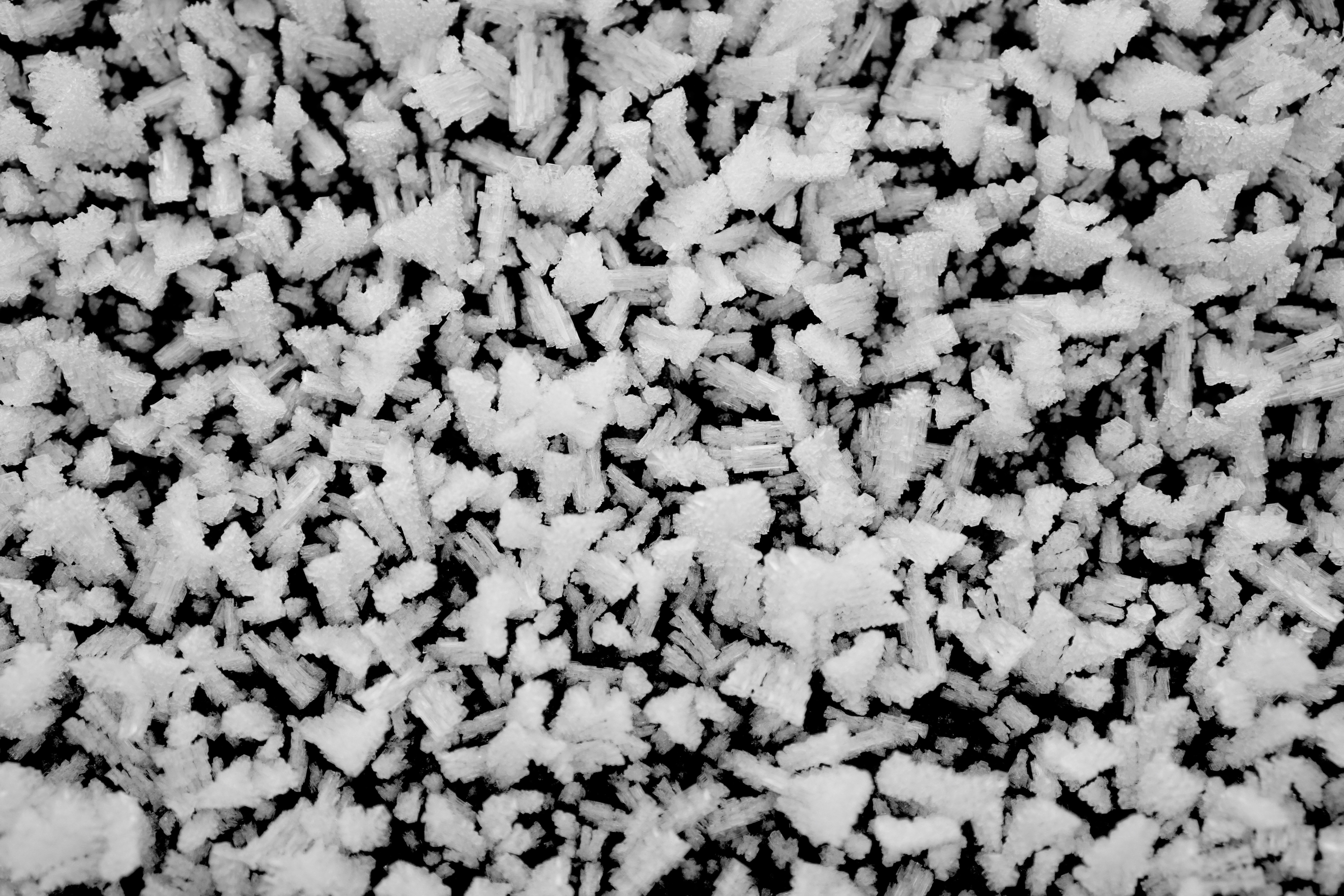 118710 скачать обои зима, кристаллы, черно белый, лед, макро, мороз - заставки и картинки бесплатно