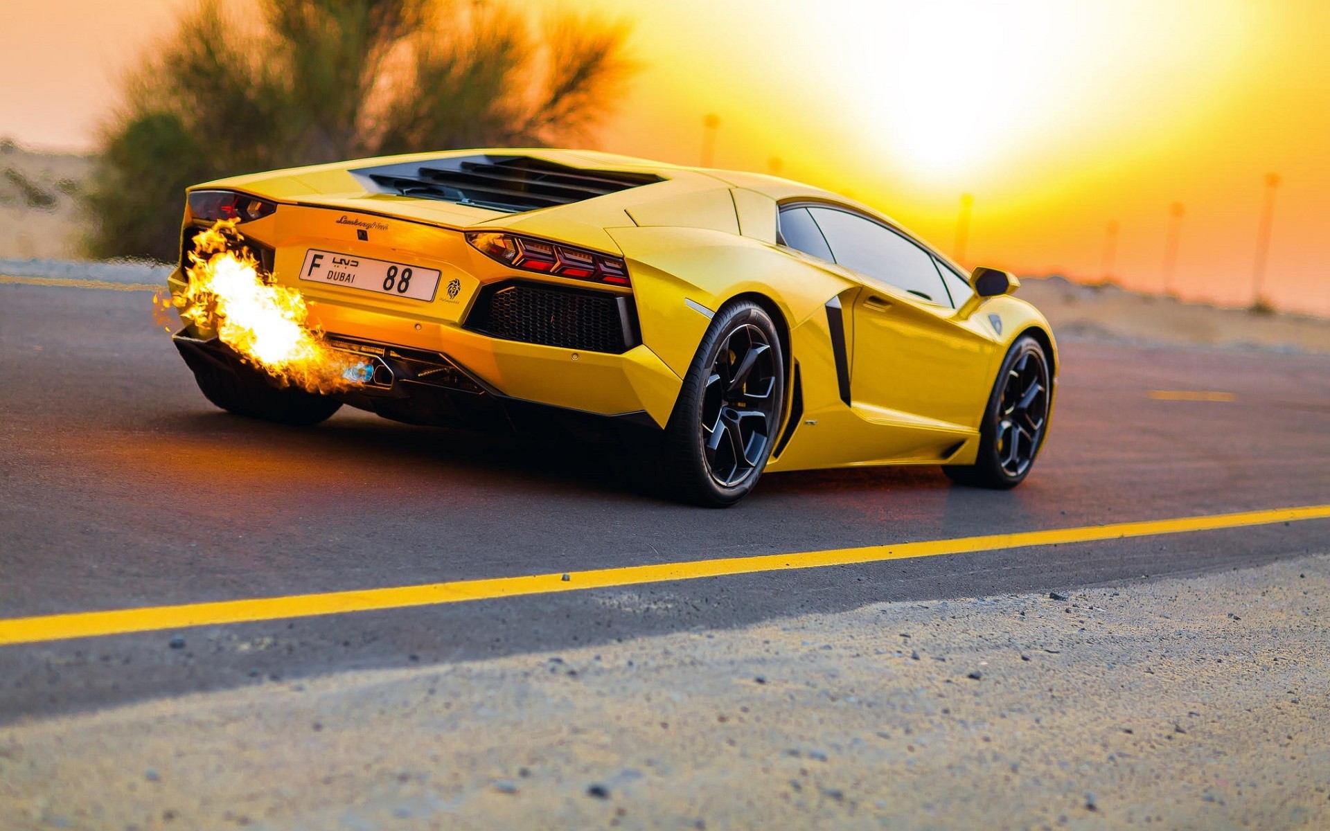 335488 Bildschirmschoner und Hintergrundbilder Lamborghini auf Ihrem Telefon. Laden Sie  Bilder kostenlos herunter
