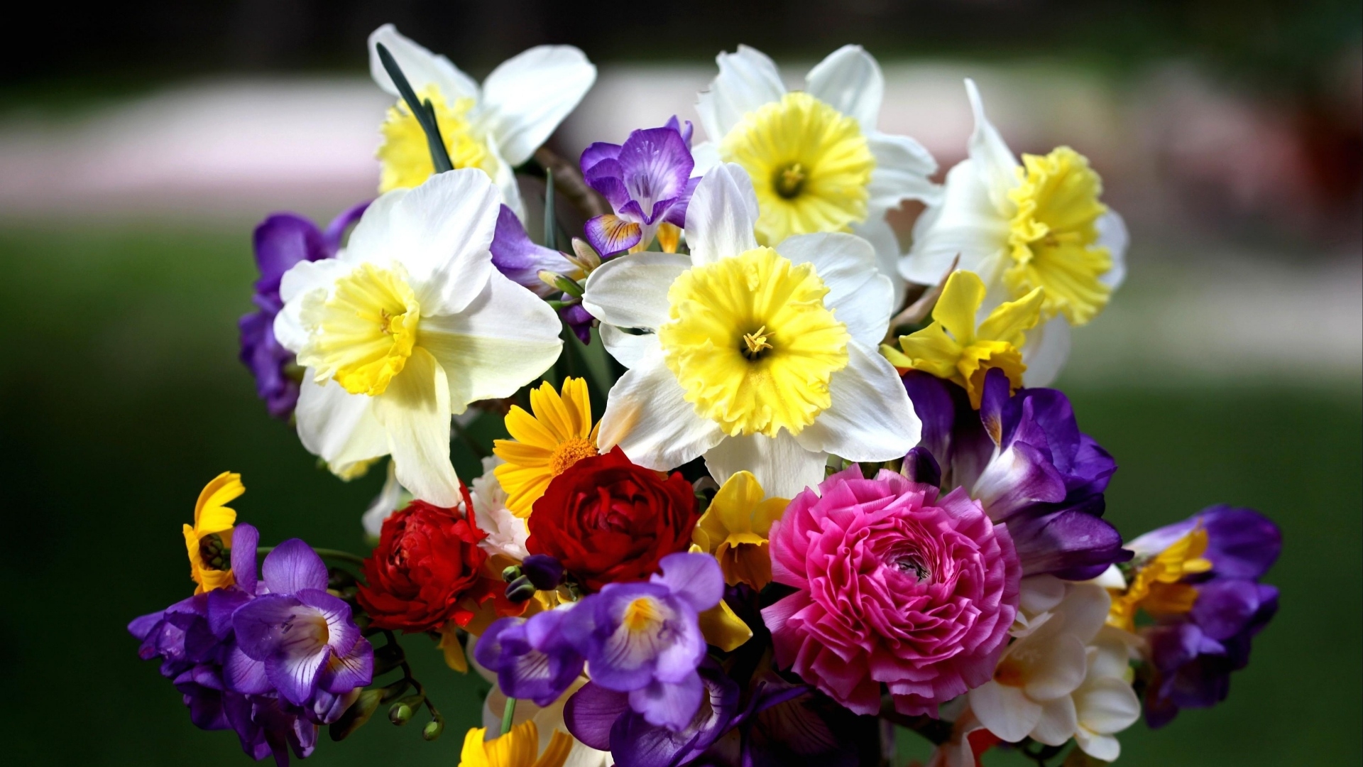 Laden Sie das Narzissen, Blume, Menschengemacht-Bild kostenlos auf Ihren PC-Desktop herunter