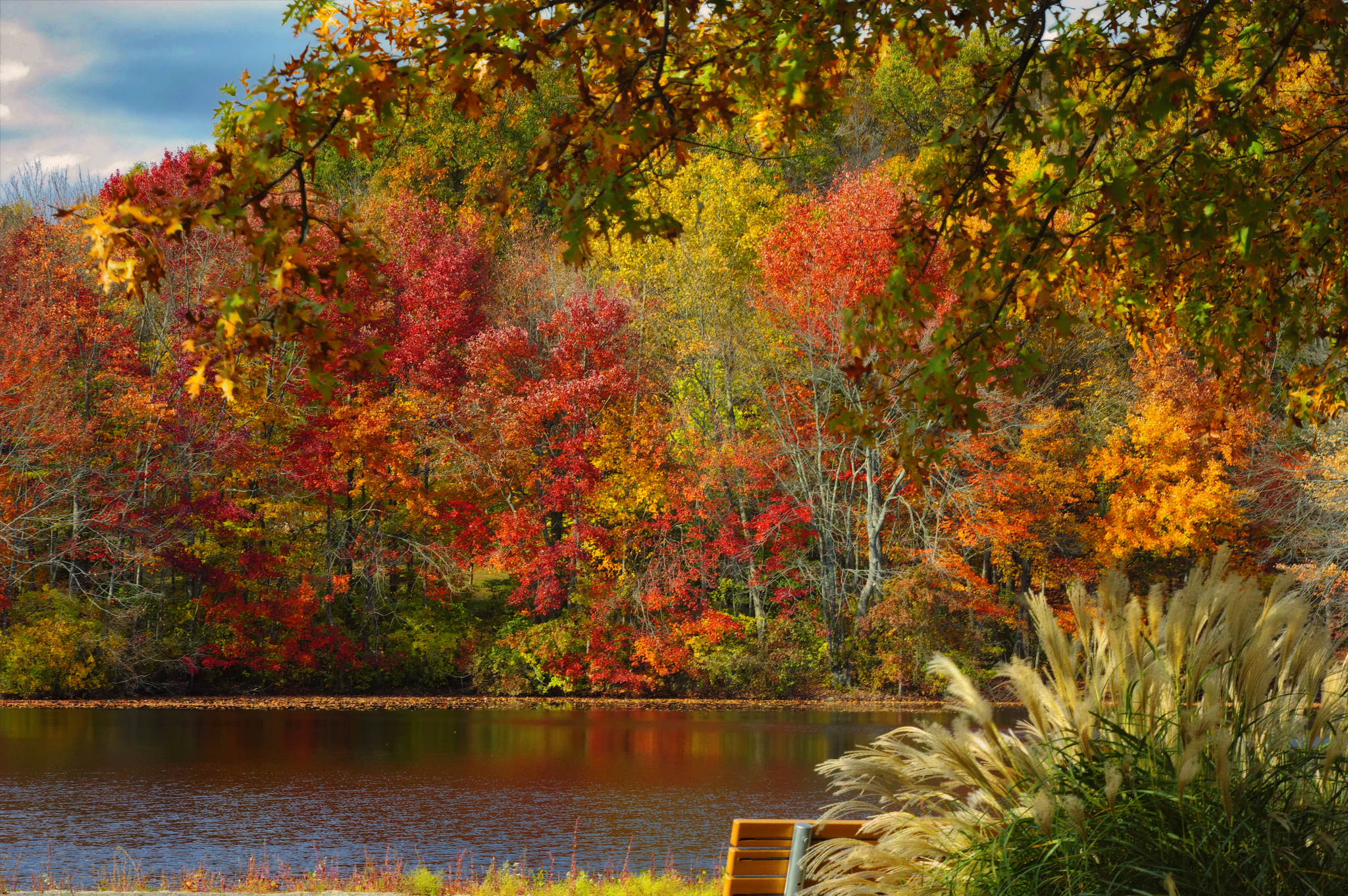 Free download wallpaper Lakes, Lake, Forest, Tree, Fall, Earth, Bench on your PC desktop