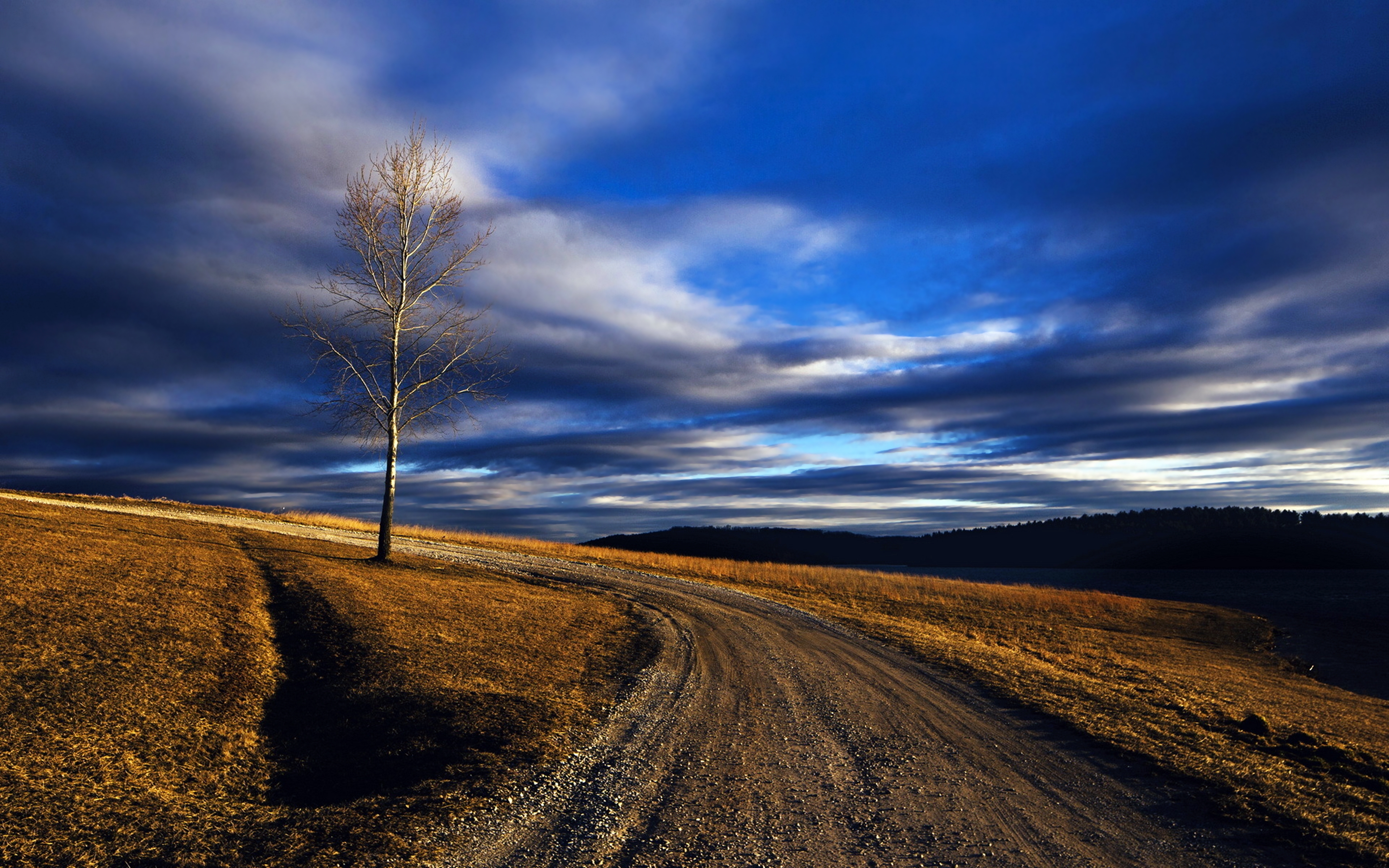 road, landscape, photography, countryside, hill, nature, tree