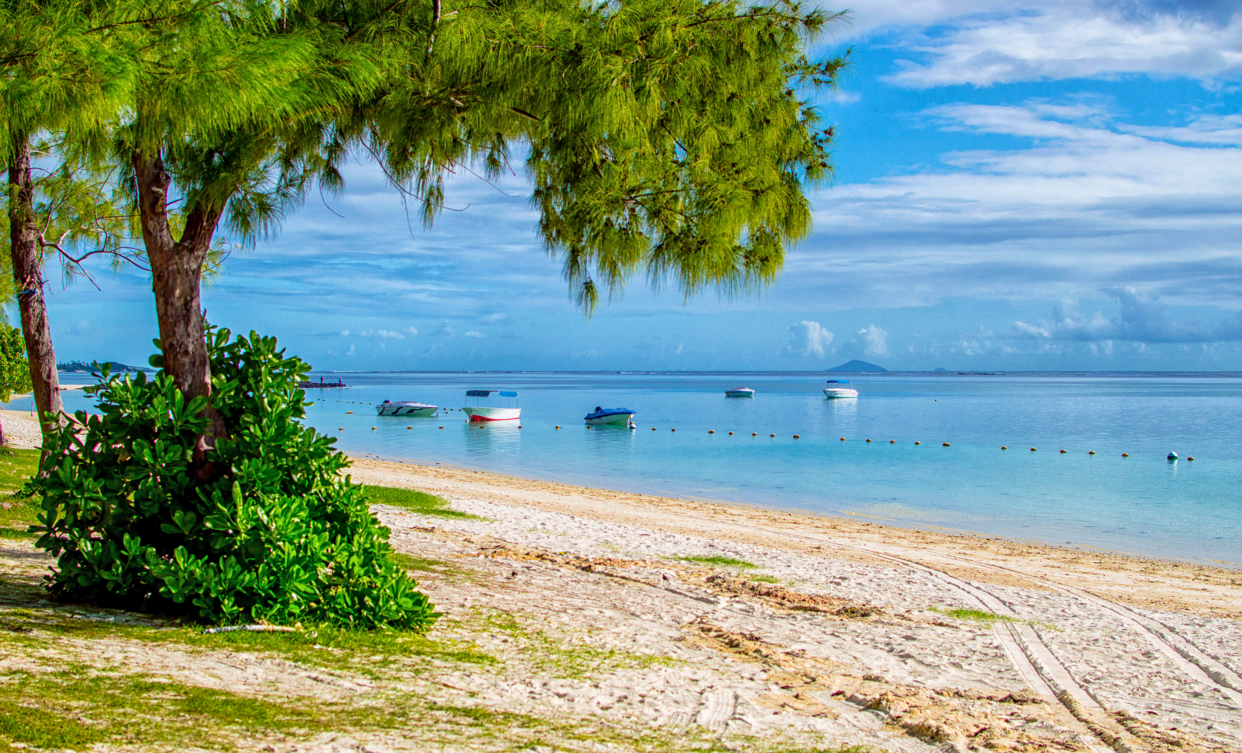 Free download wallpaper Sea, Beach, Horizon, Tree, Ocean, Boat, Vehicles on your PC desktop