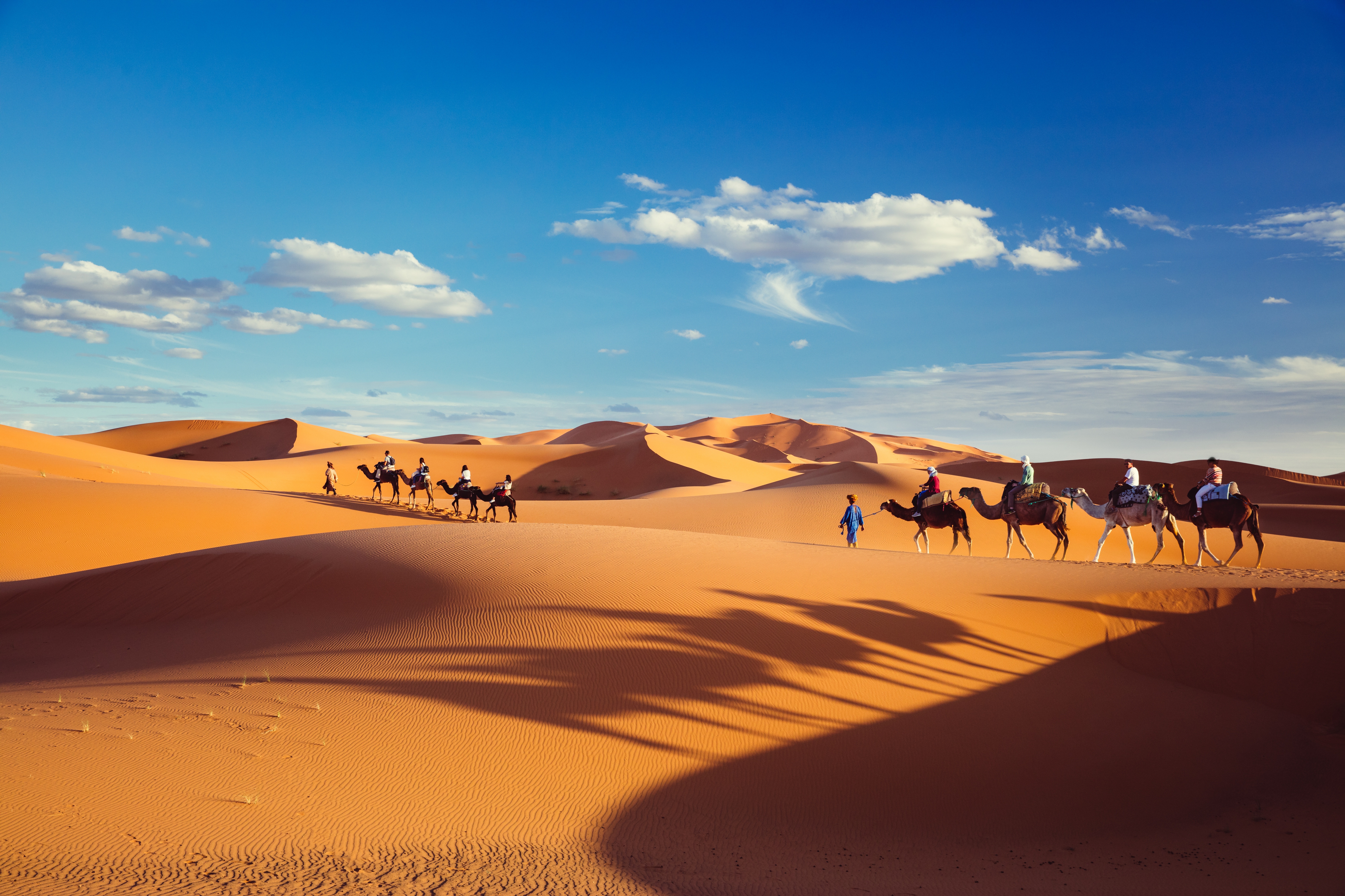 1048630 скачать картинку фотографии, караван, пустыня, дюна, песок - обои и заставки бесплатно