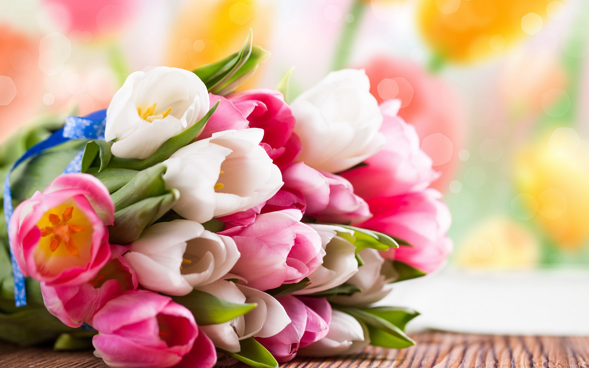 Descarga gratis la imagen Flor, Tulipán, Hecho Por El Hombre en el escritorio de tu PC