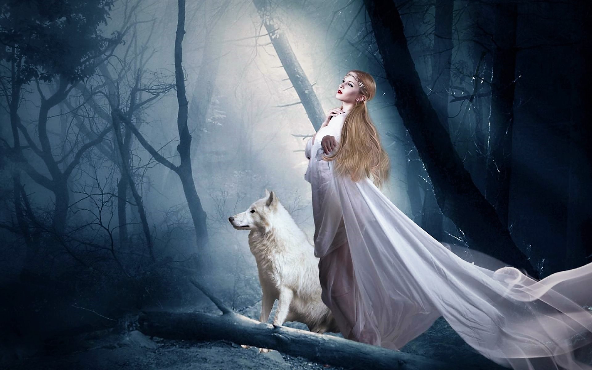 1505621 скачать обои мистический, животные, волк, лес, белое платье - заставки и картинки бесплатно