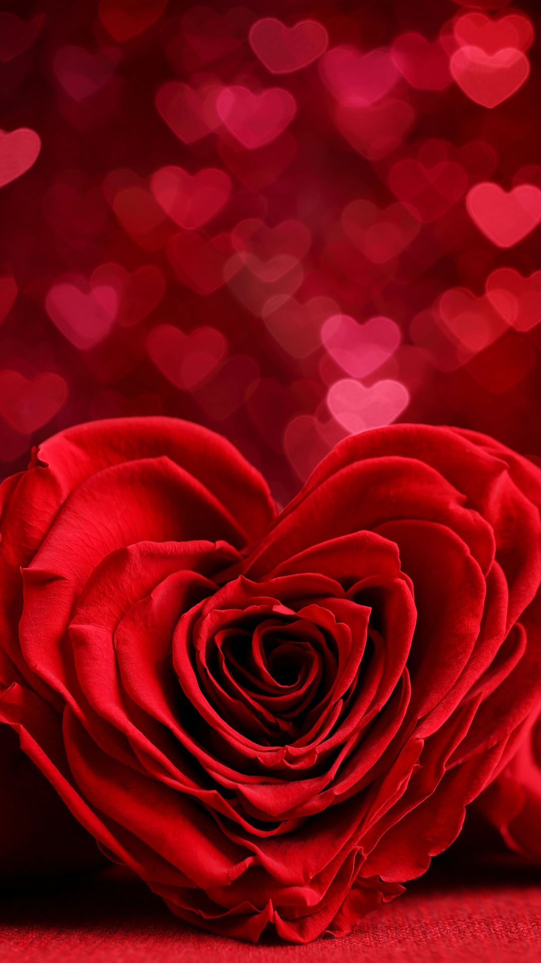 Baixar papel de parede para celular de Rosa, Dia Dos Namorados, Flor, Bokeh, Rosa Vermelha, Romântico, Flor Vermelha, Feriados, Em Forma De Coração gratuito.