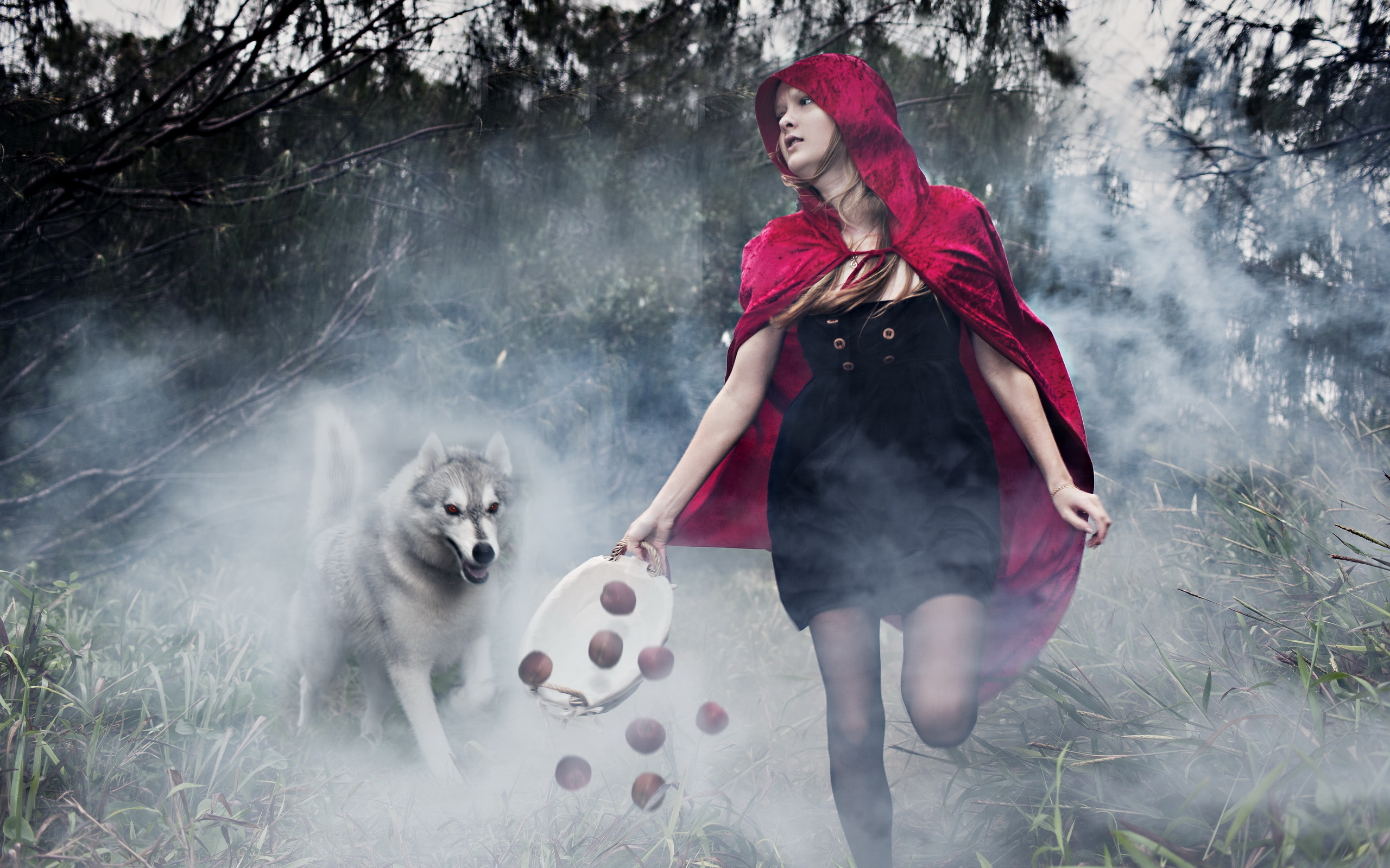 women, photography, dog, fog, gothic, model, red riding hood