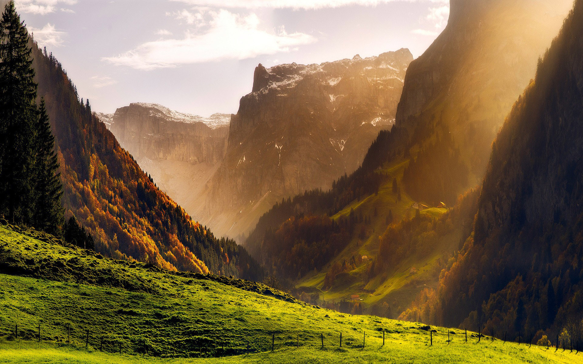 Laden Sie das Landschaft, Schlucht, Wald, Gebirge, Erde/natur-Bild kostenlos auf Ihren PC-Desktop herunter