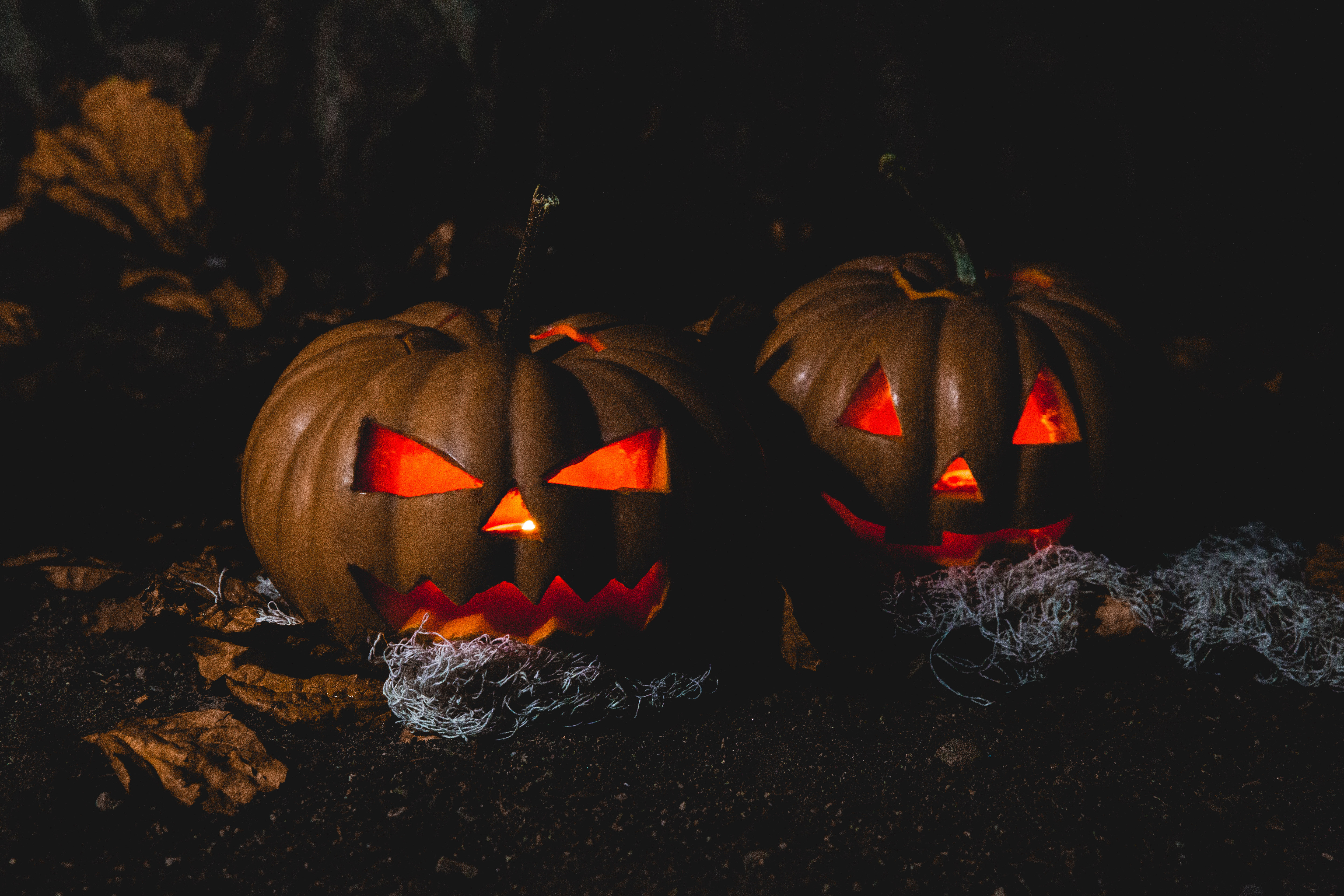 halloween, pumpkin, holidays, dark Full HD