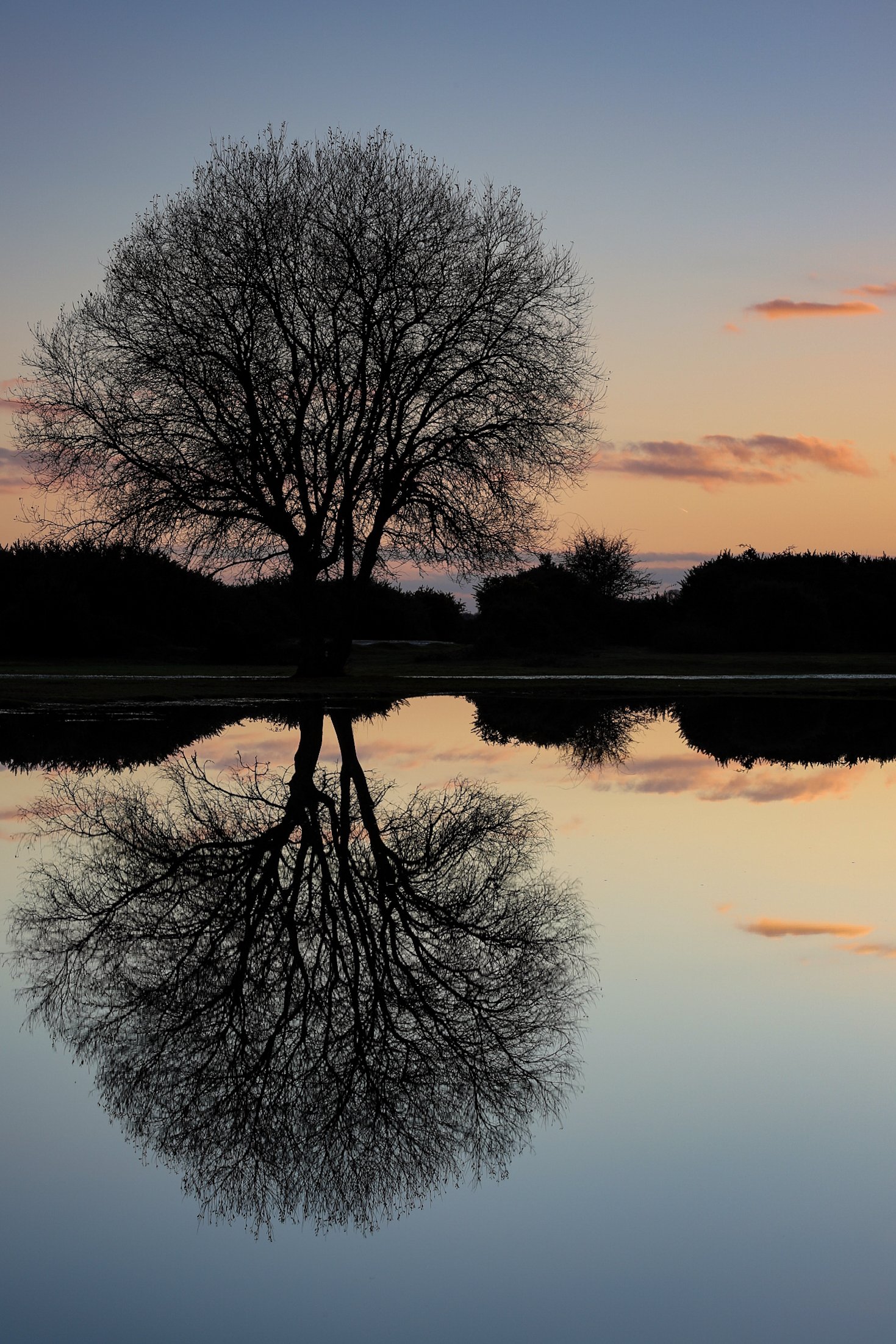 Download mobile wallpaper Reflection, Lake, Wood, Tree, Twilight, Dusk, Dark for free.