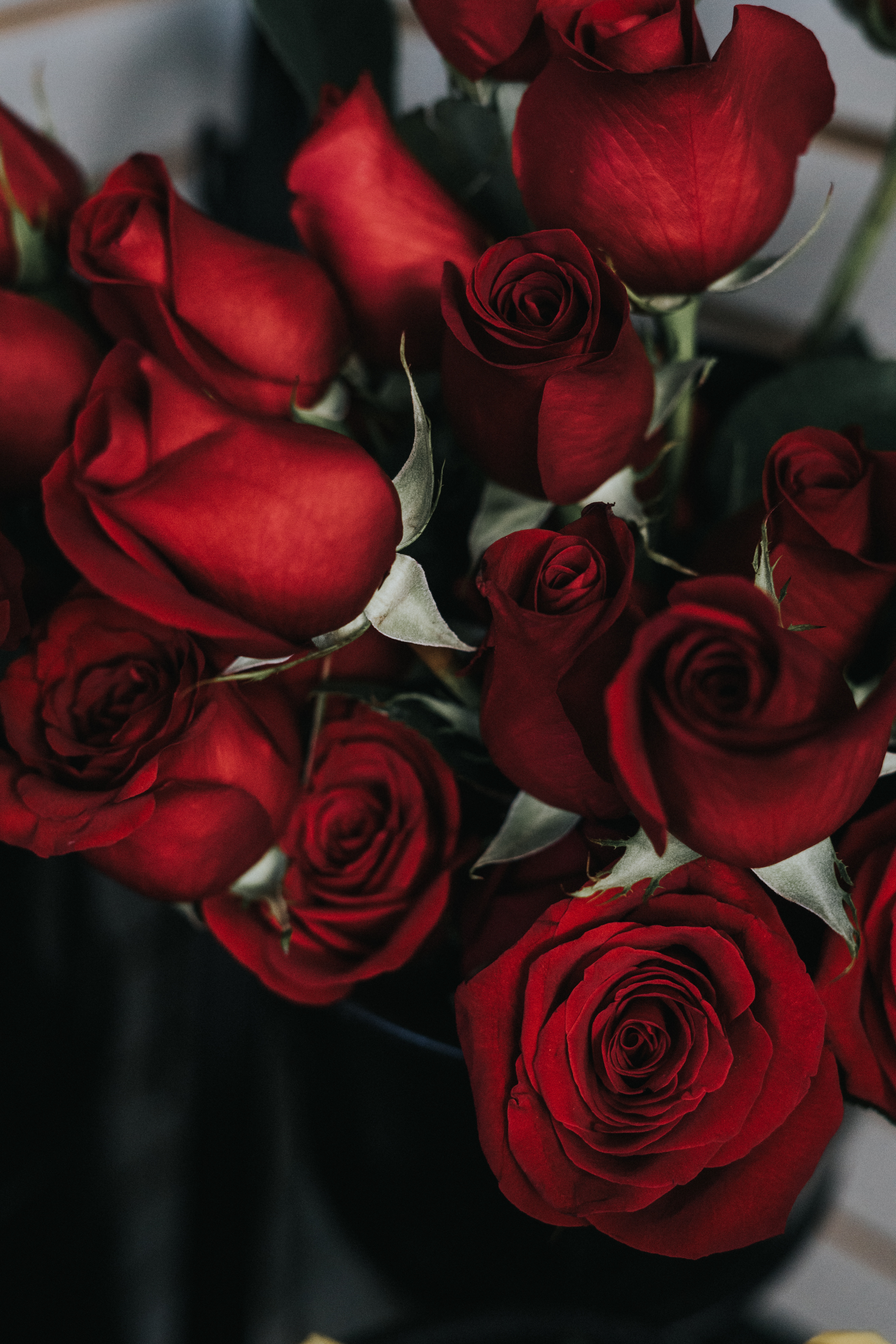 Download mobile wallpaper Petals, Bouquet, Flowers, Roses for free.