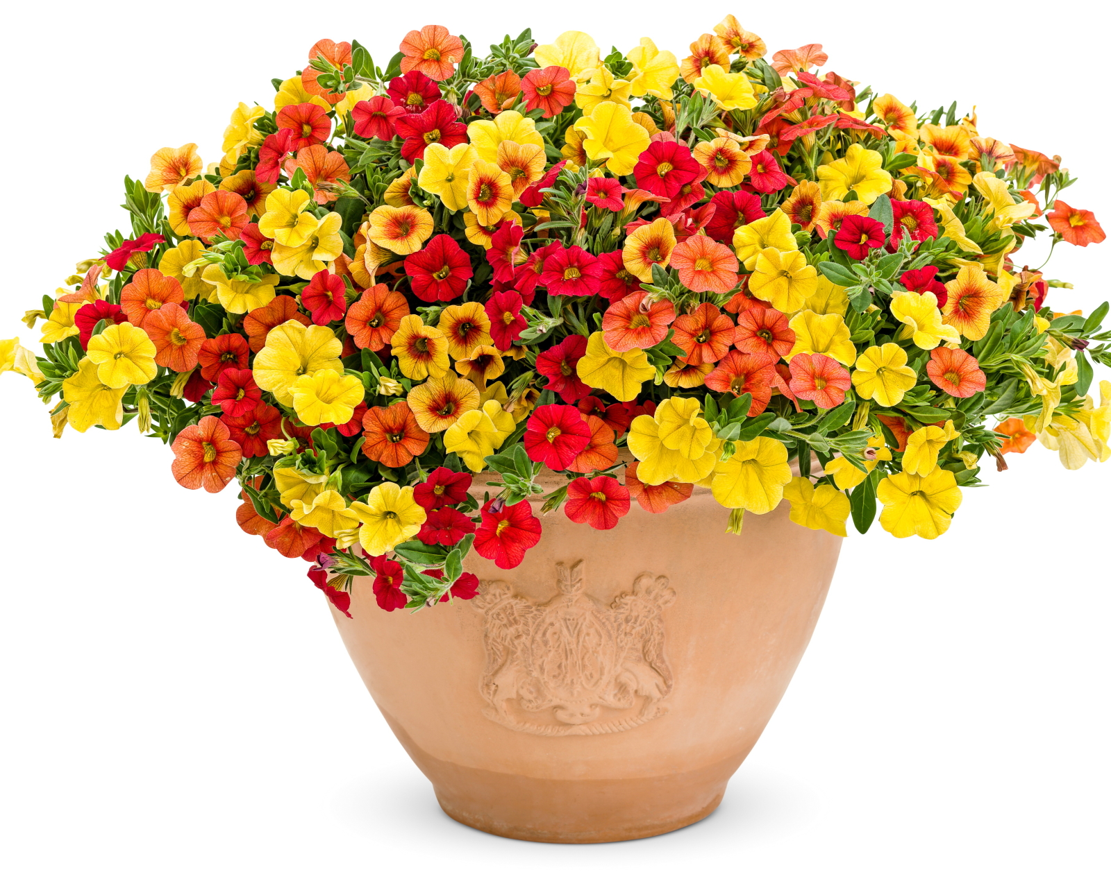 Descarga gratis la imagen Flores, Flor, Artístico en el escritorio de tu PC