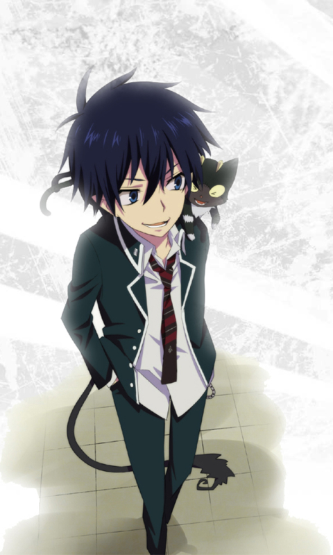 Download mobile wallpaper Anime, Blue Exorcist, Rin Okumura, Ao No Exorcist for free.