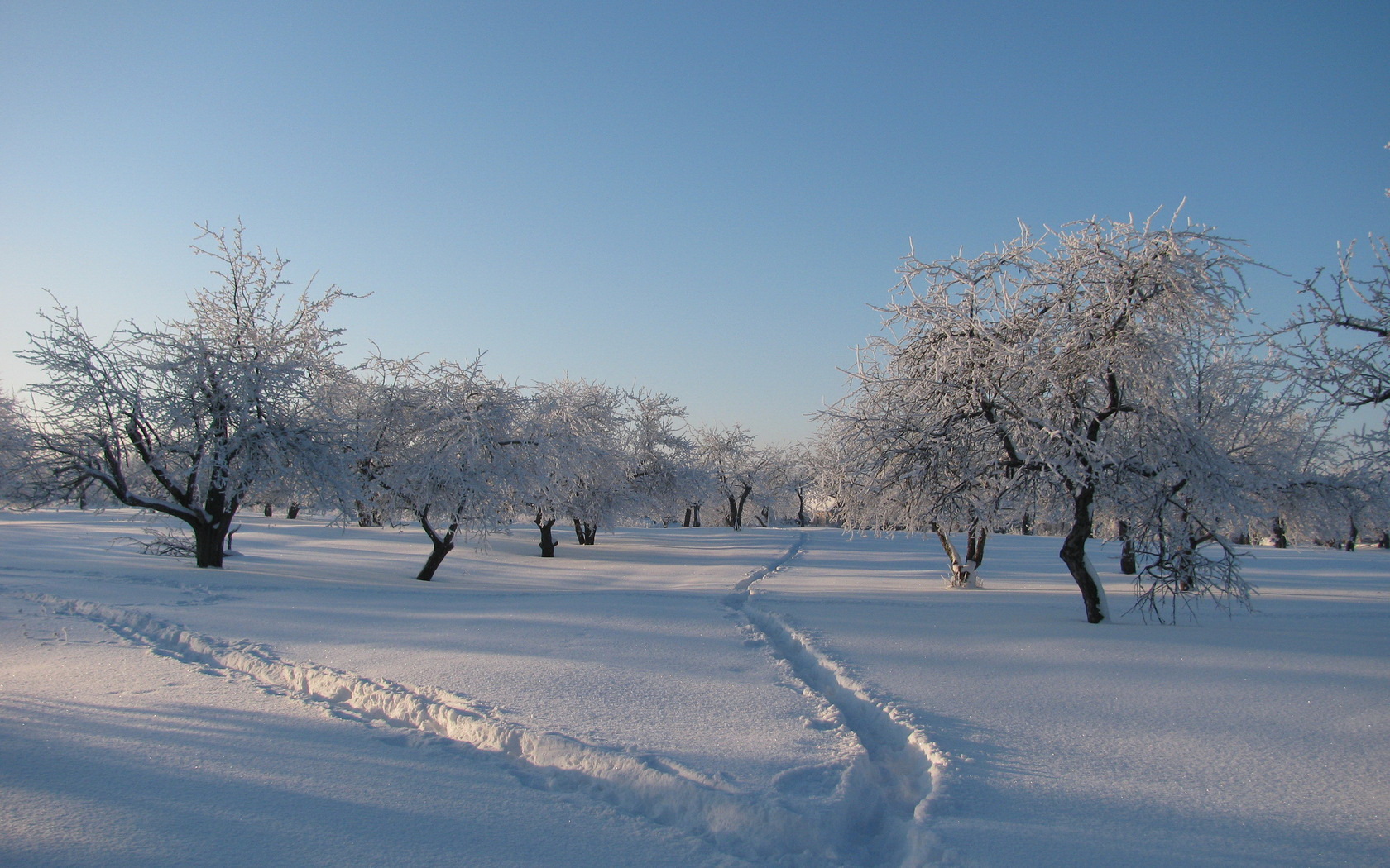 Download mobile wallpaper Winter, Earth for free.