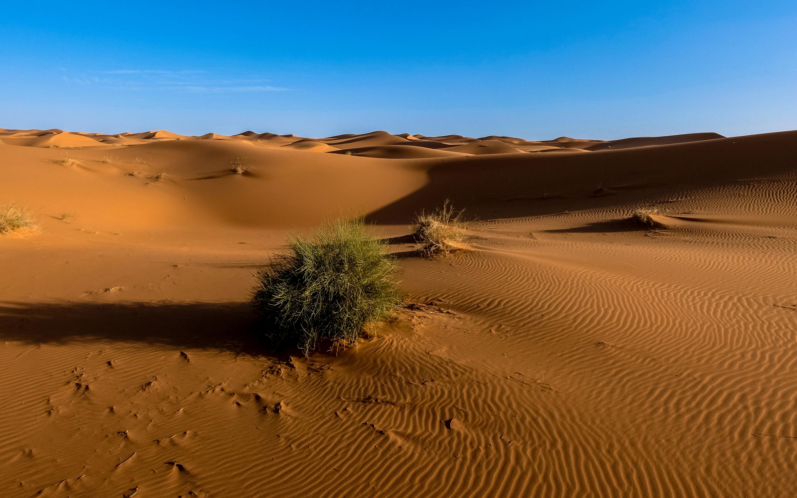 Download mobile wallpaper Sky, Sand, Desert, Earth for free.