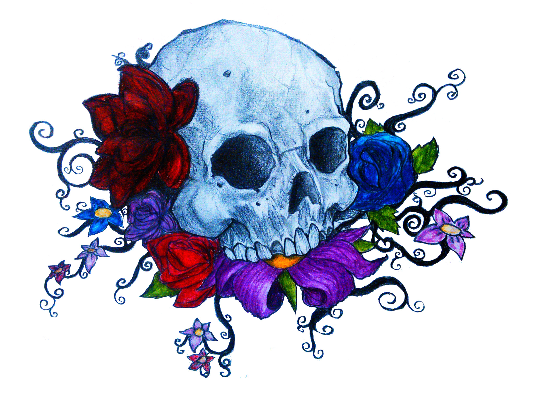 Download mobile wallpaper Flower, Dark, Rose, Colors, Colorful, Skull for free.