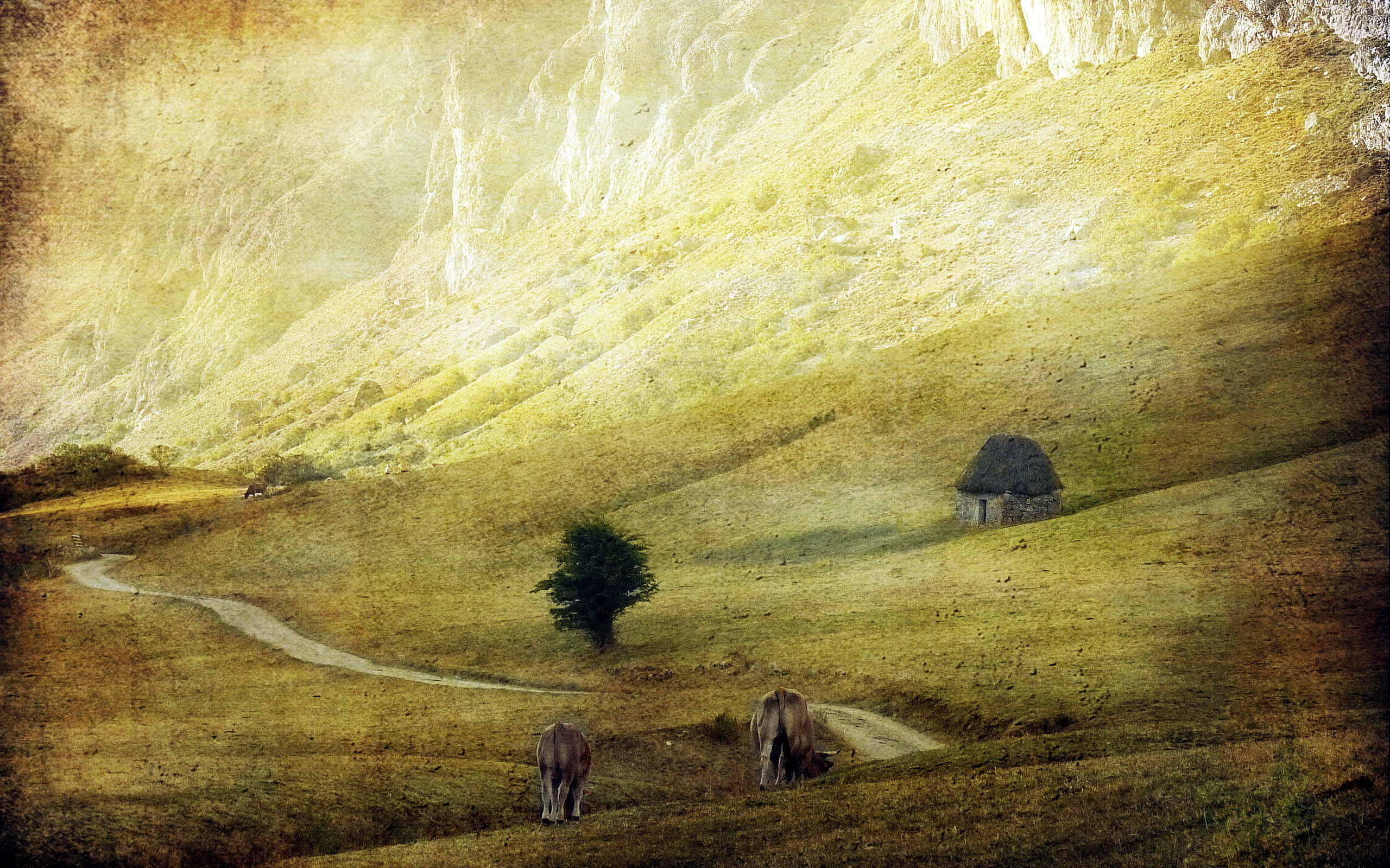 Download mobile wallpaper Landscape, Earth for free.