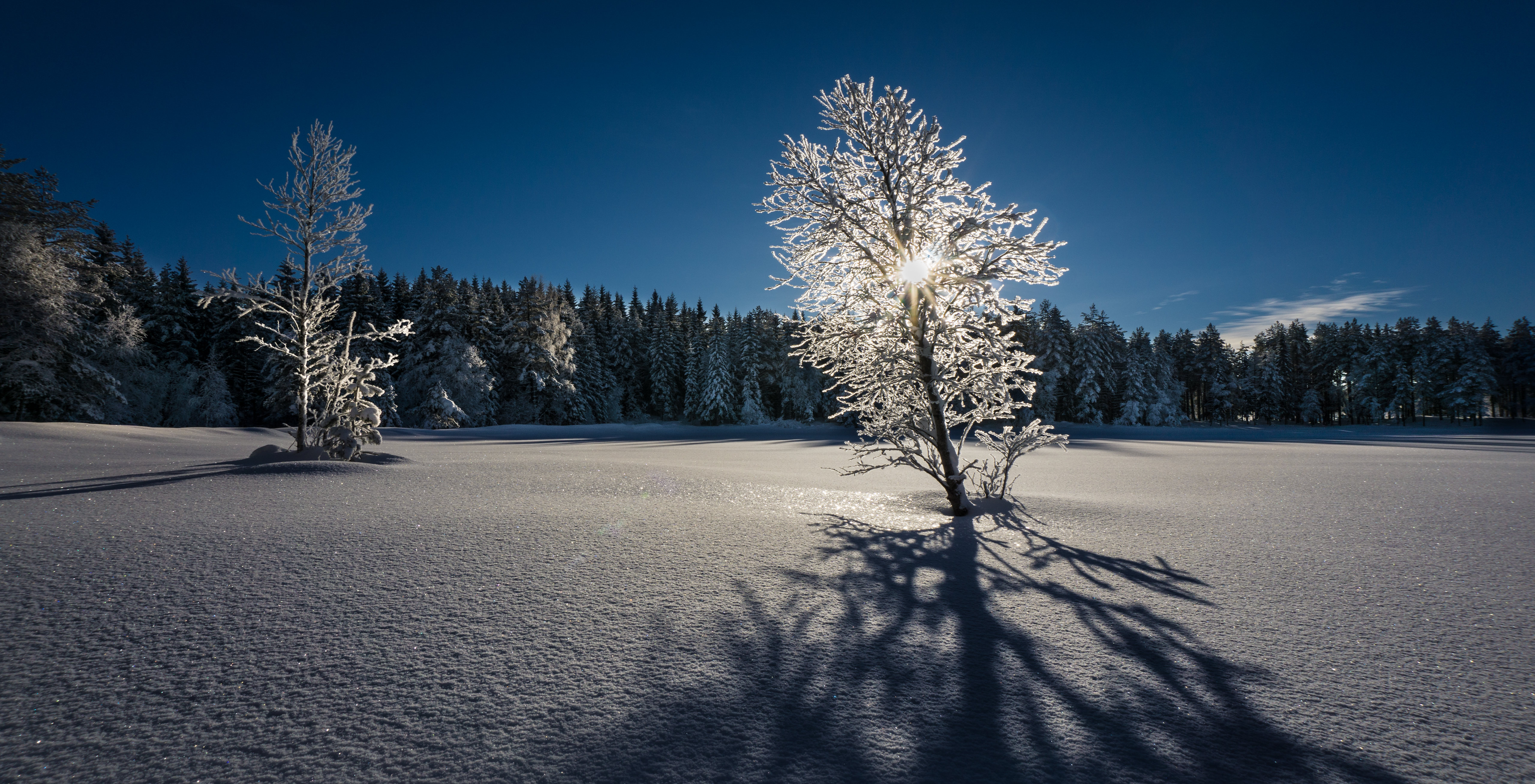 Download mobile wallpaper Snow, Forest, Earth, Frost, Norway for free.