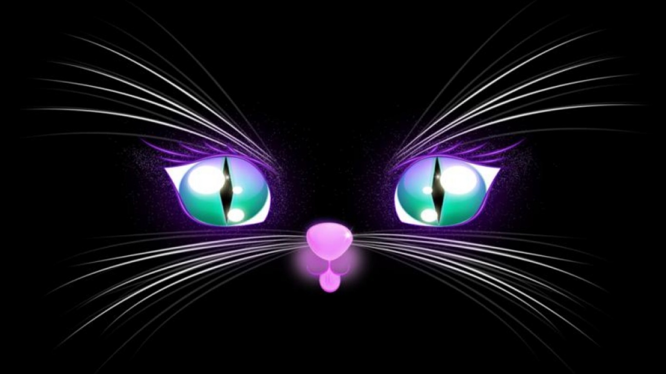PCデスクトップに動物, ネコ, 猫, 子猫, 目, 顔画像を無料でダウンロード