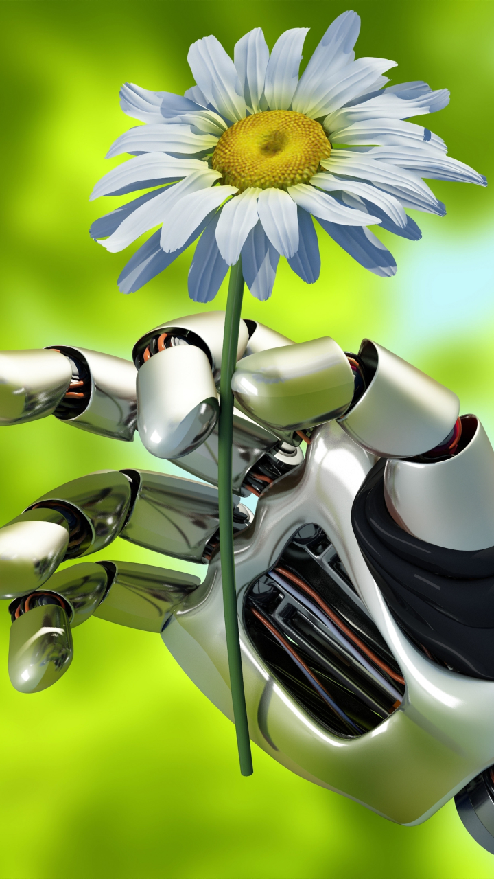 Download mobile wallpaper Flower, Hand, Robot, Daisy, Man Made for free.