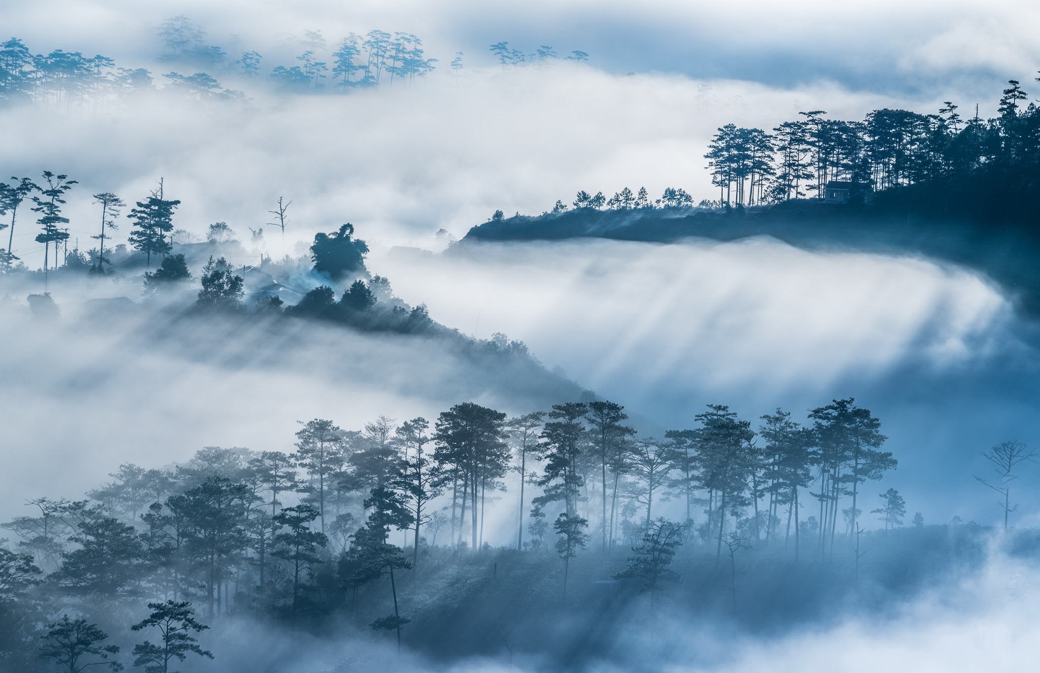 PCデスクトップに風景, 自然, 木, 霧, 地球, サンビーム画像を無料でダウンロード