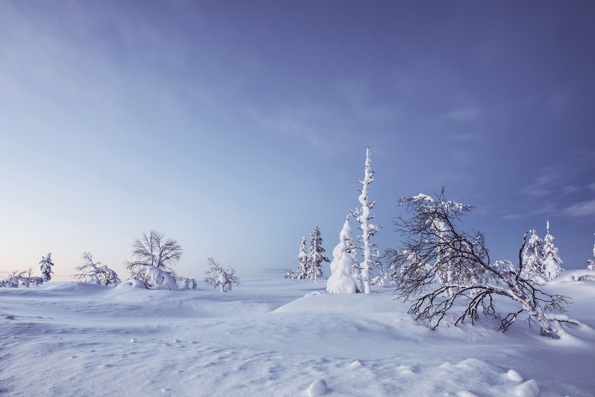PCデスクトップに冬, 自然, 雪, 地球画像を無料でダウンロード